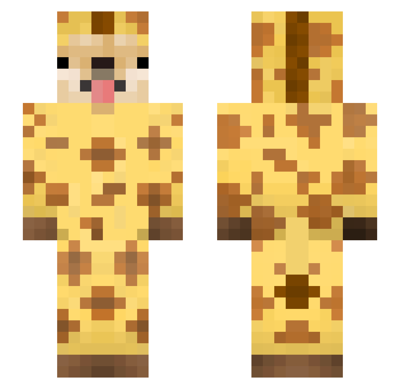 Akishiok Minecraft skin, front and back view