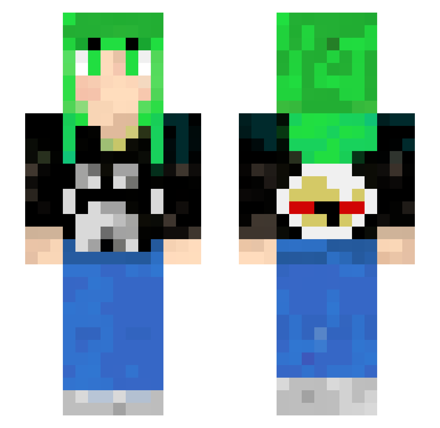 Tonkinese Minecraft skin, front and back view
