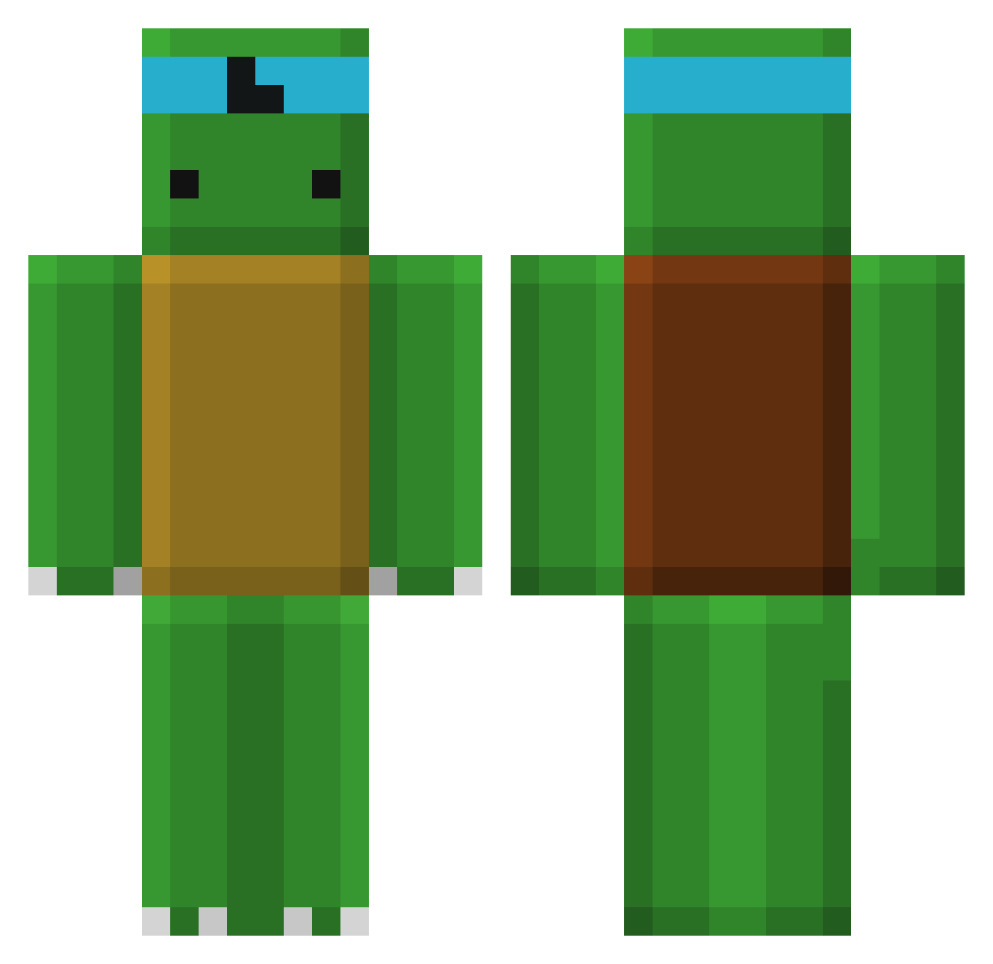 DoctorTortle Minecraft skin, front and back view