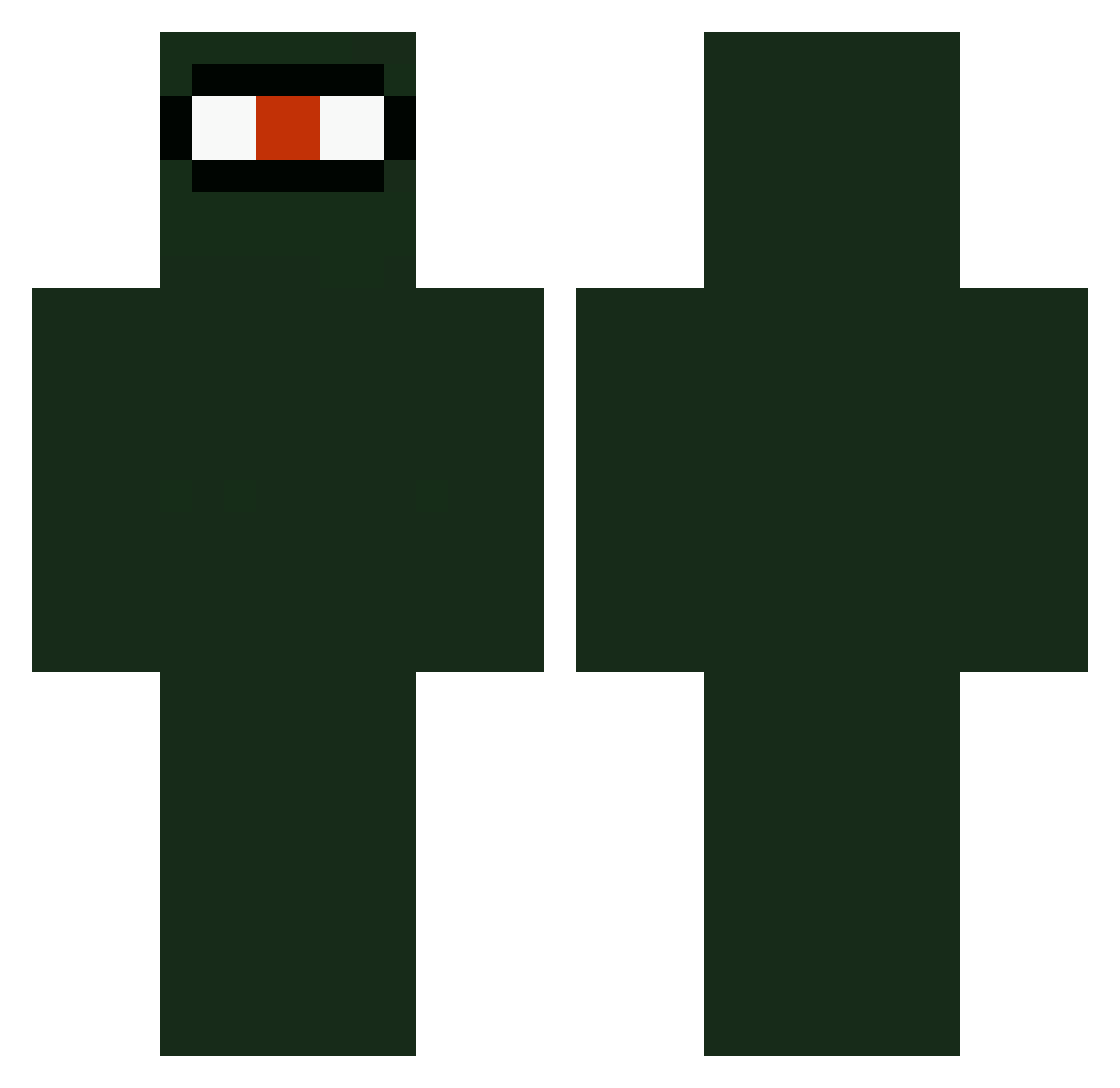 tgl2022 Minecraft skin, front and back view