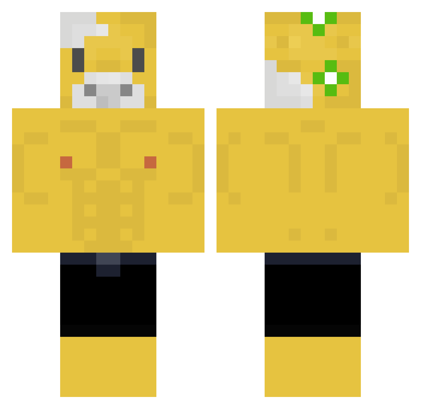 _Stonky_ Minecraft skin, front and back view