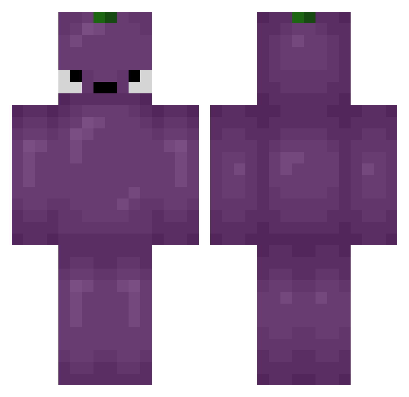 462M Minecraft skin, front and back view