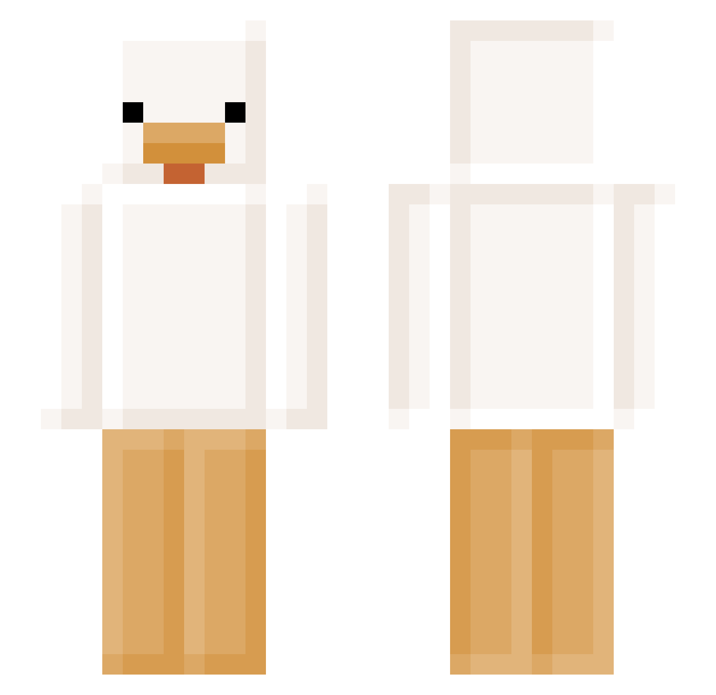 wifiviston Minecraft skin, front and back view