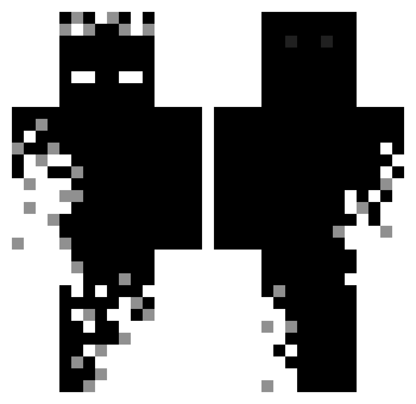 CXT____ Minecraft skin, front and back view