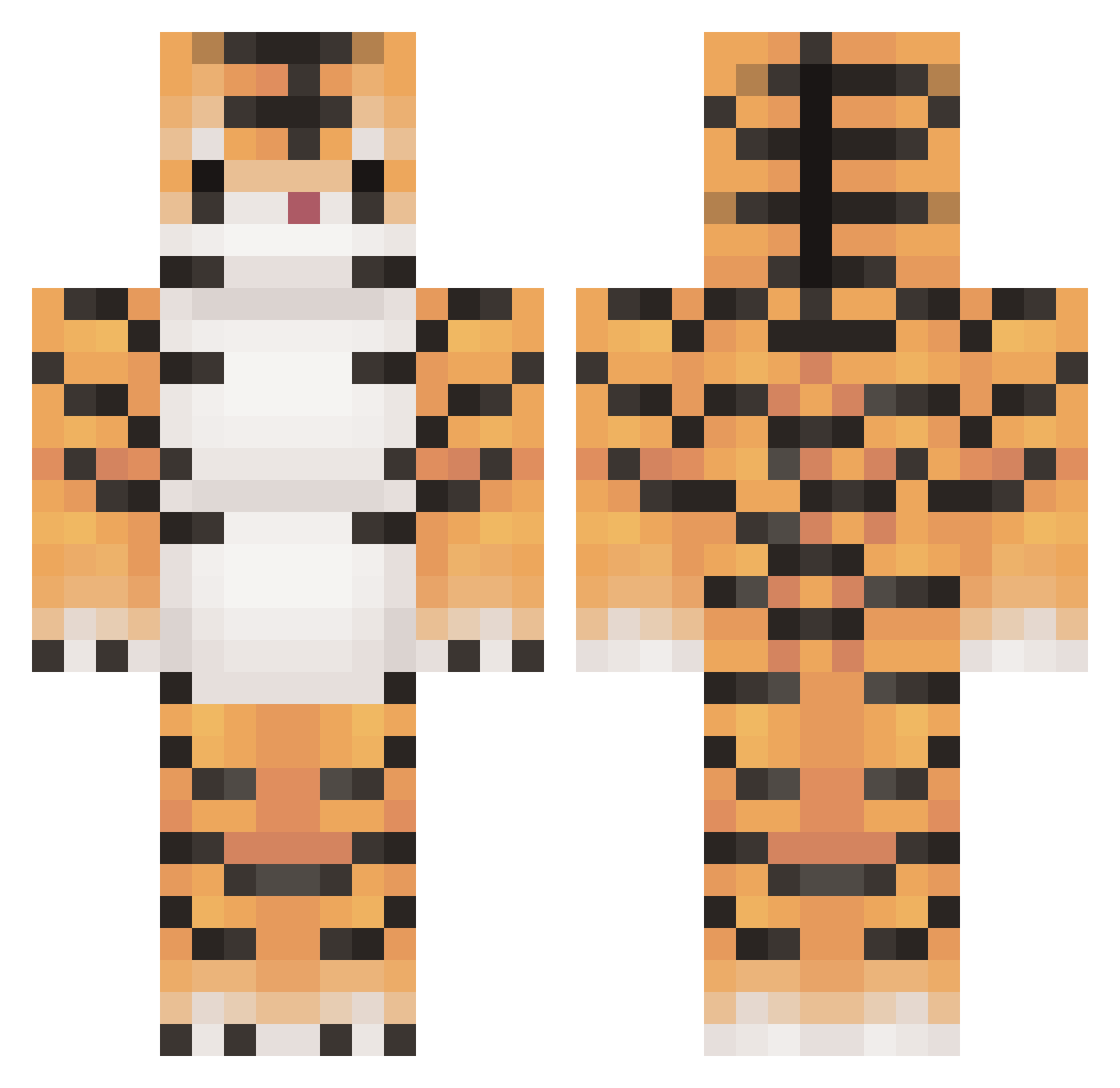 nvgvupbb Minecraft skin, front and back view