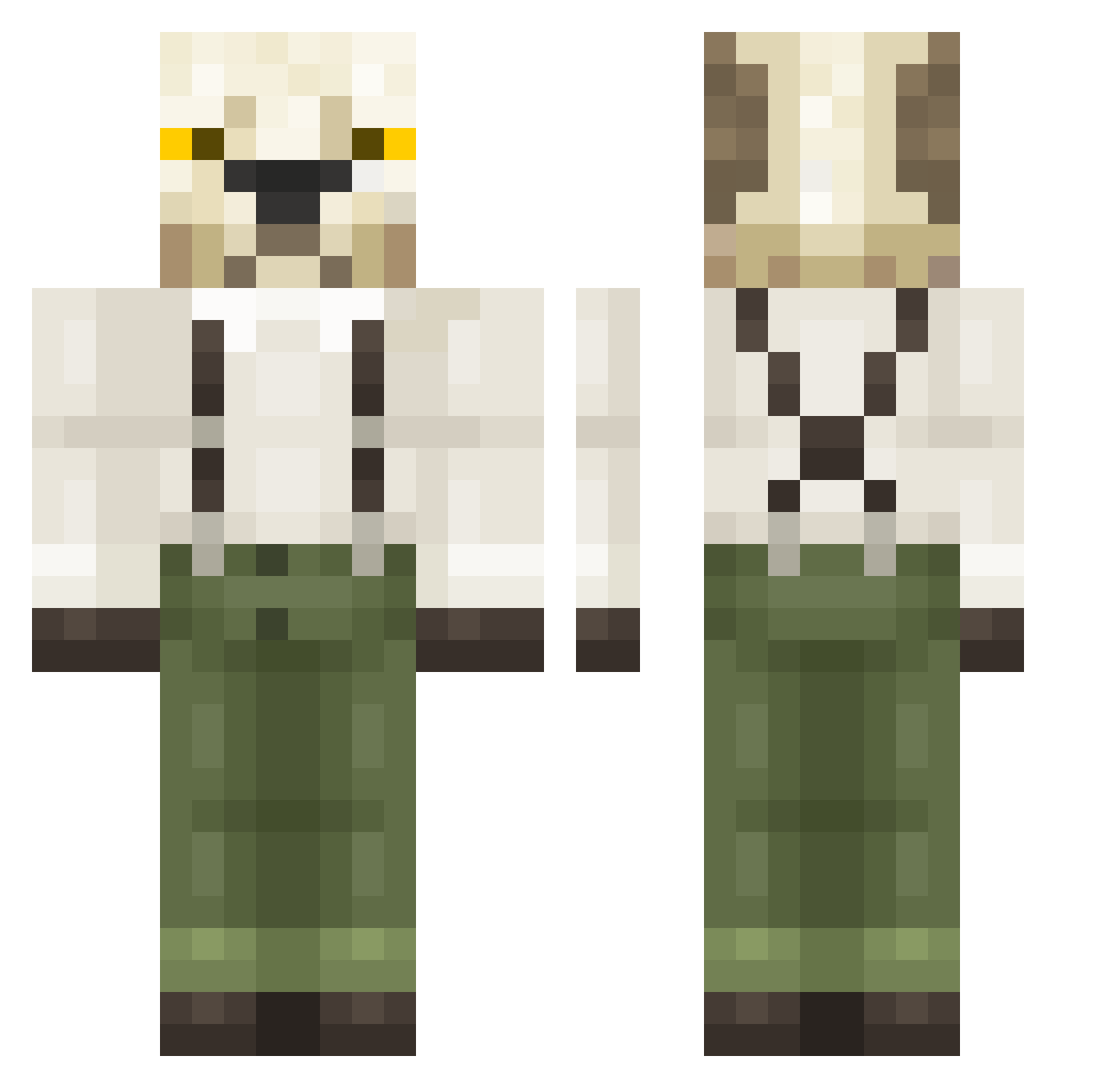 Chaos_123 Minecraft skin, front and back view