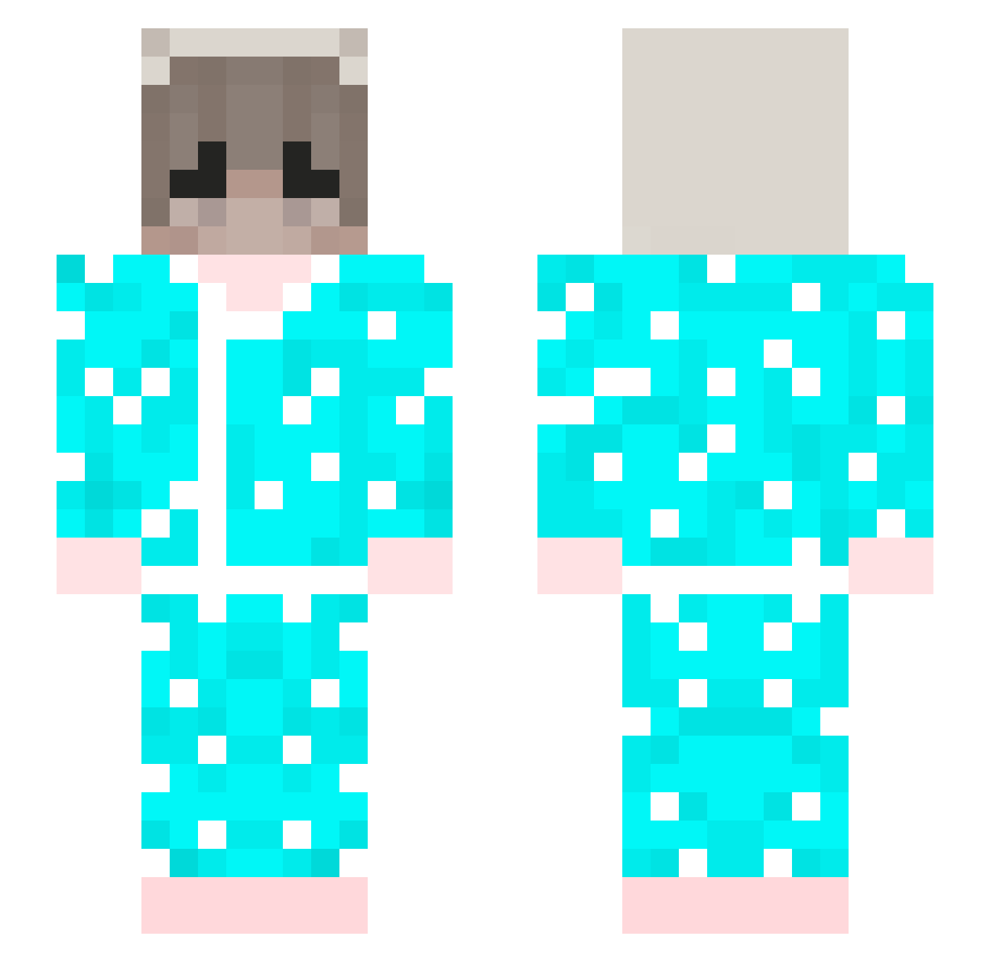 arin_brain Minecraft skin, front and back view