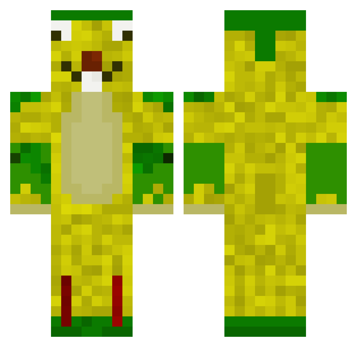 DMGPOLAND Minecraft skin, front and back view