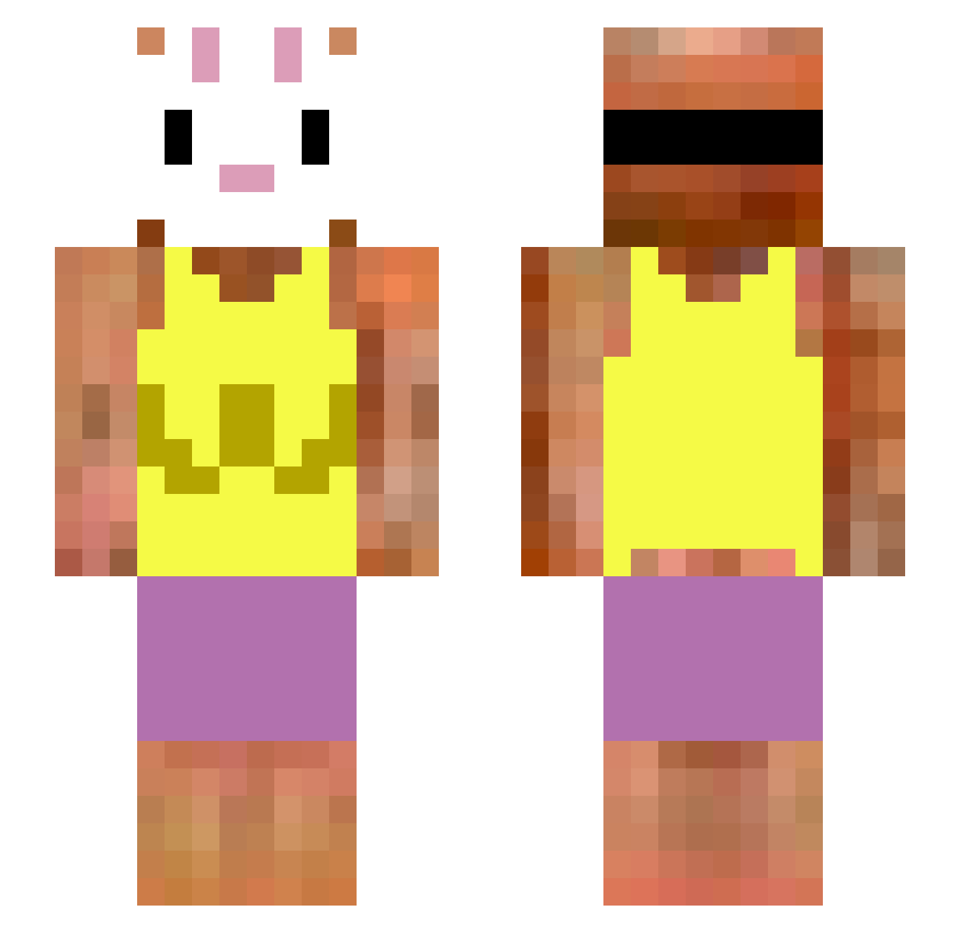 Themer Minecraft skin, front and back view