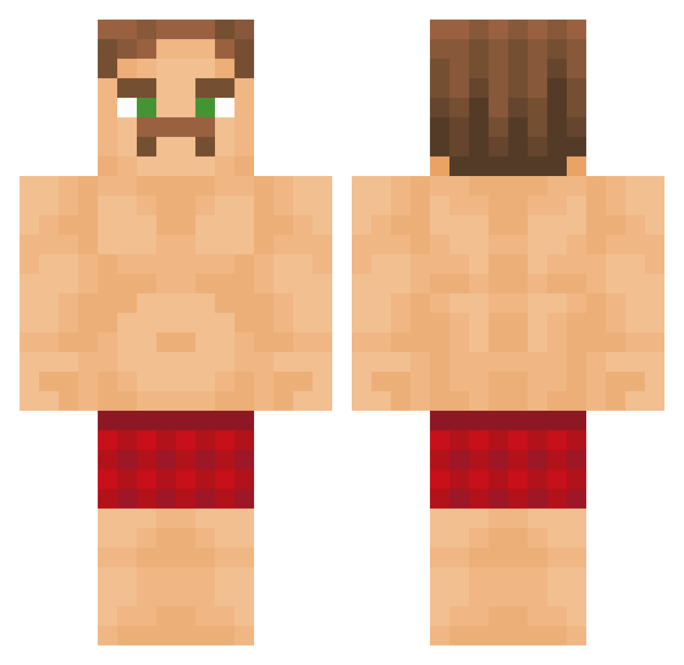 non_quitter Minecraft skin, front and back view