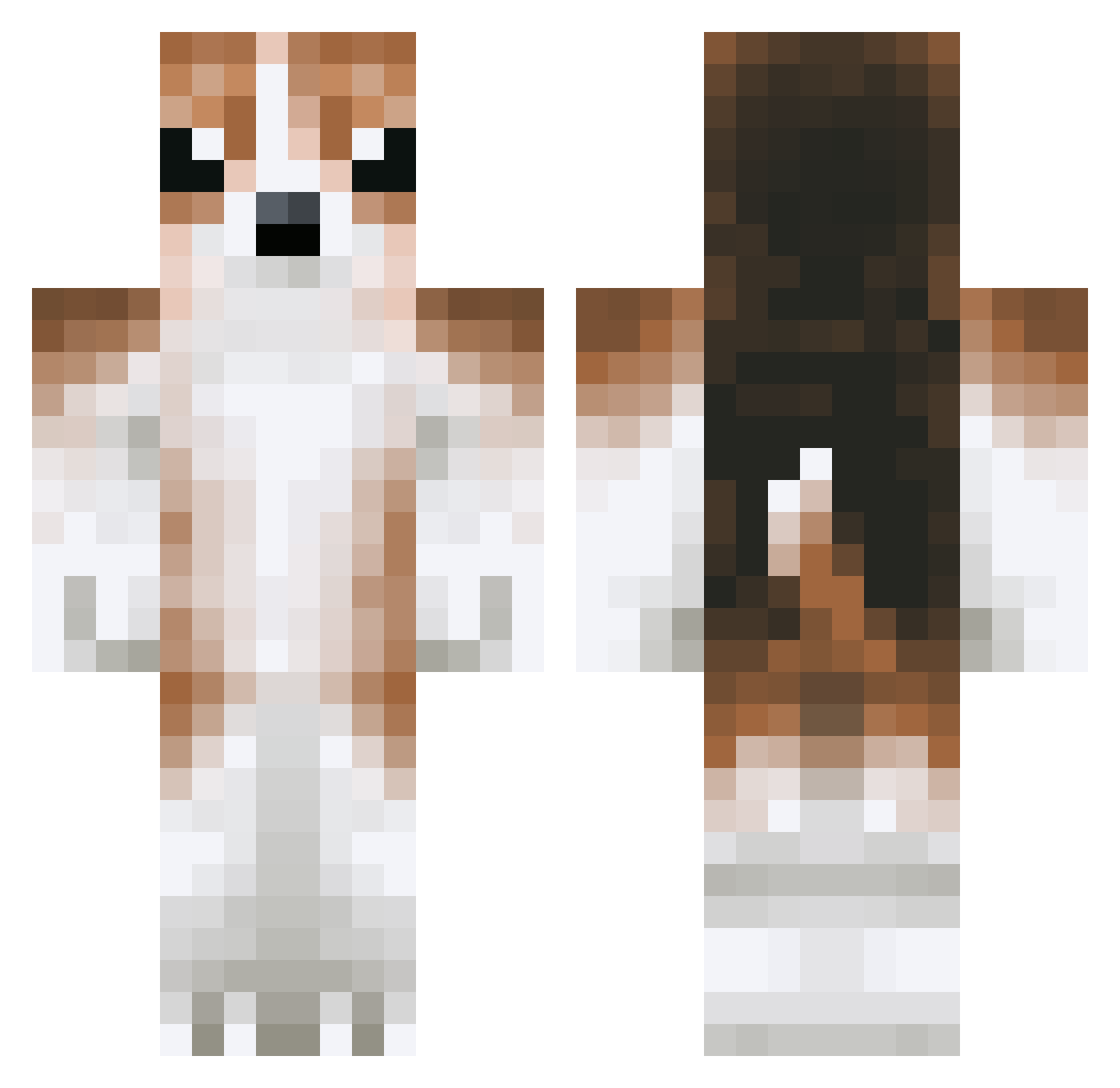Condiments Minecraft skin, front and back view