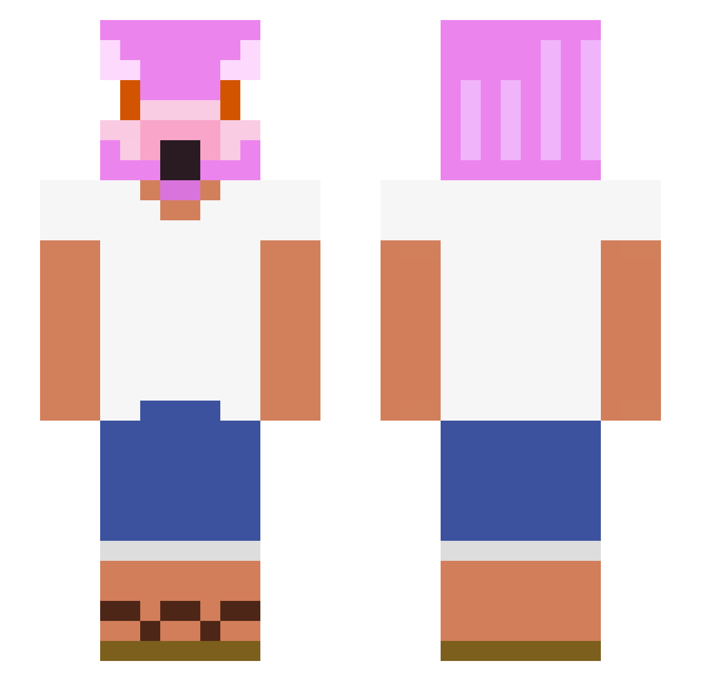 Mr_Birdmc Minecraft skin, front and back view