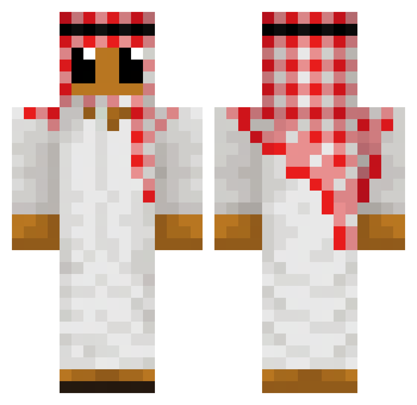 Rejections Minecraft skin, front and back view
