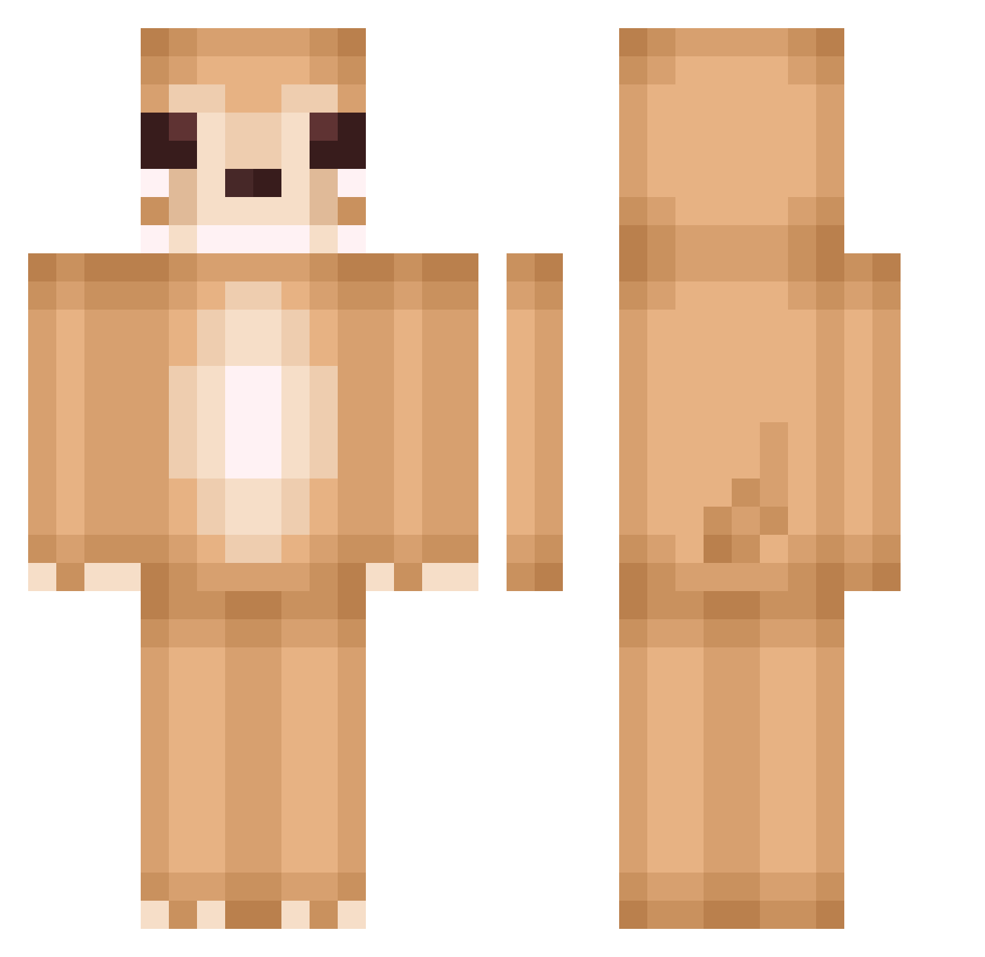 mapasion Minecraft skin, front and back view