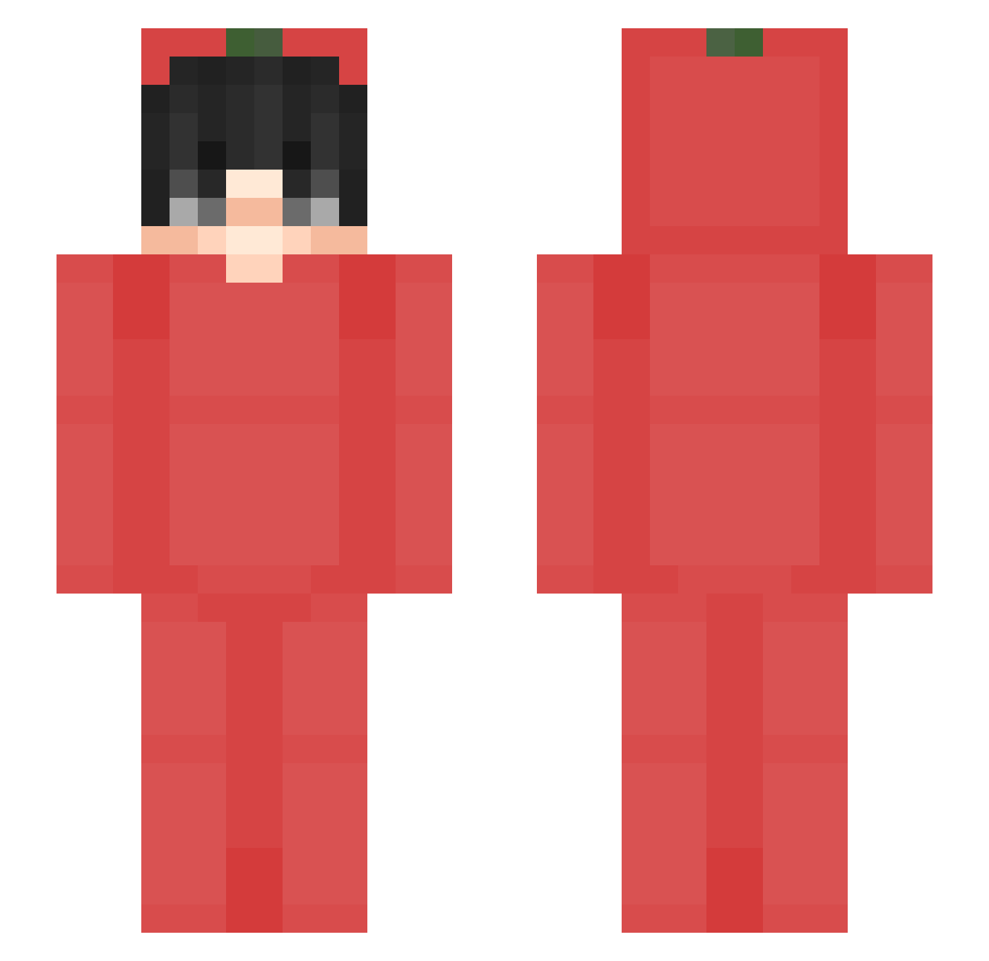 Wiseberries Minecraft skin, front and back view