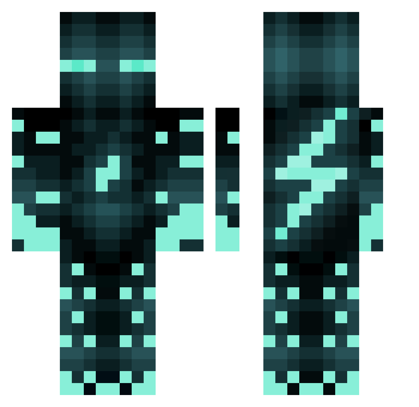 ccg313 Minecraft skin, front and back view