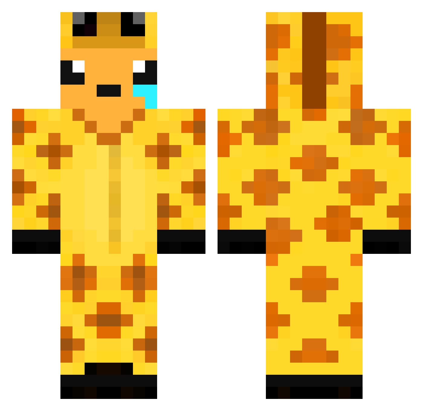 Chemotherapy Minecraft skin, front and back view