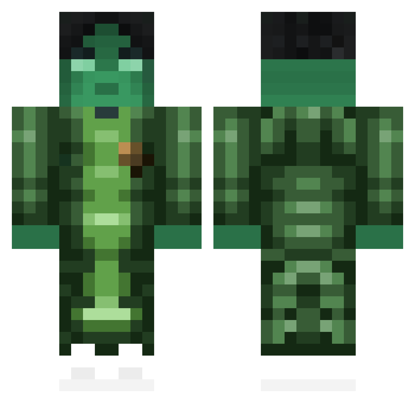 pldv Minecraft skin, front and back view