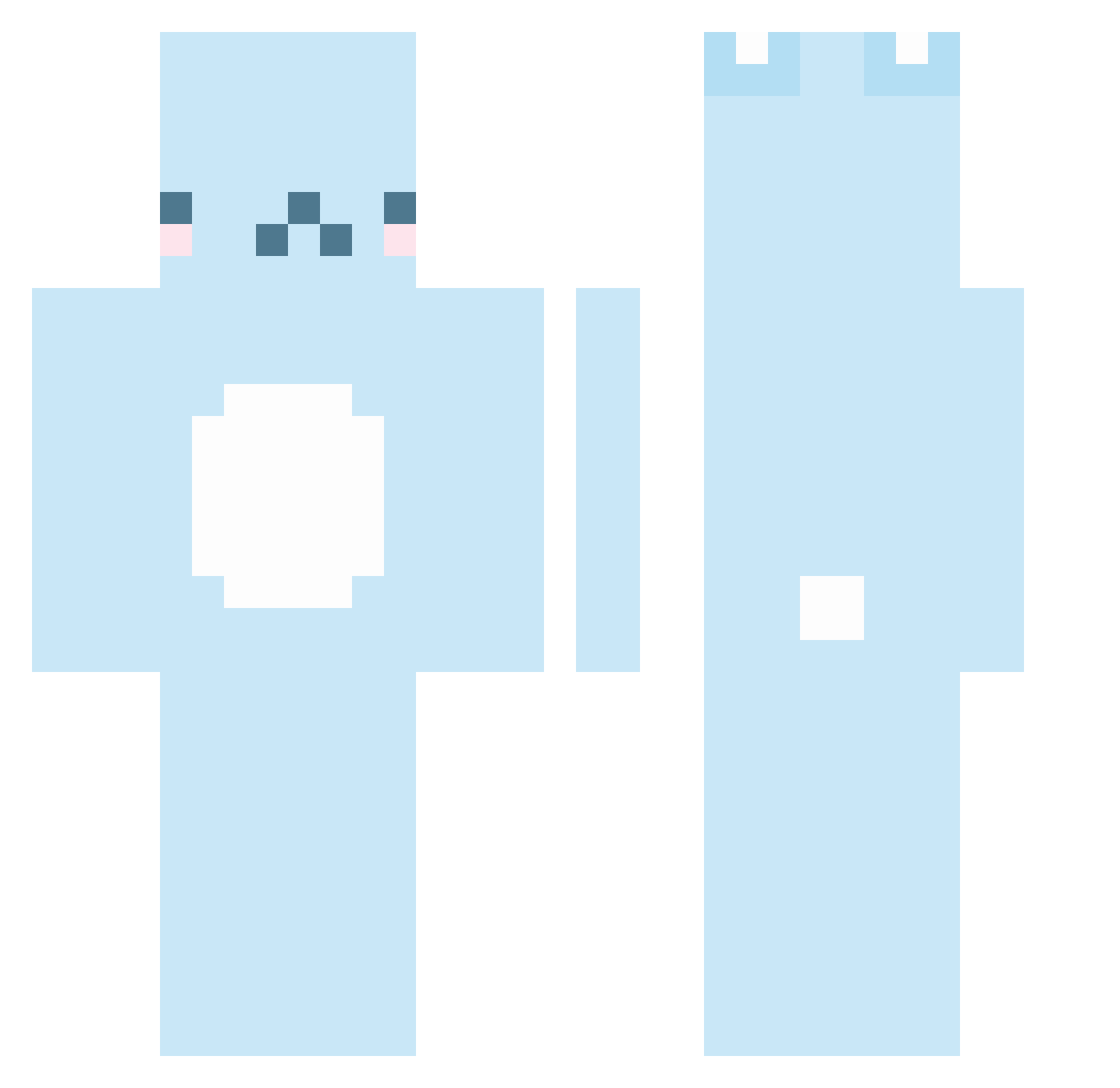 Piwoo23 Minecraft skin, front and back view