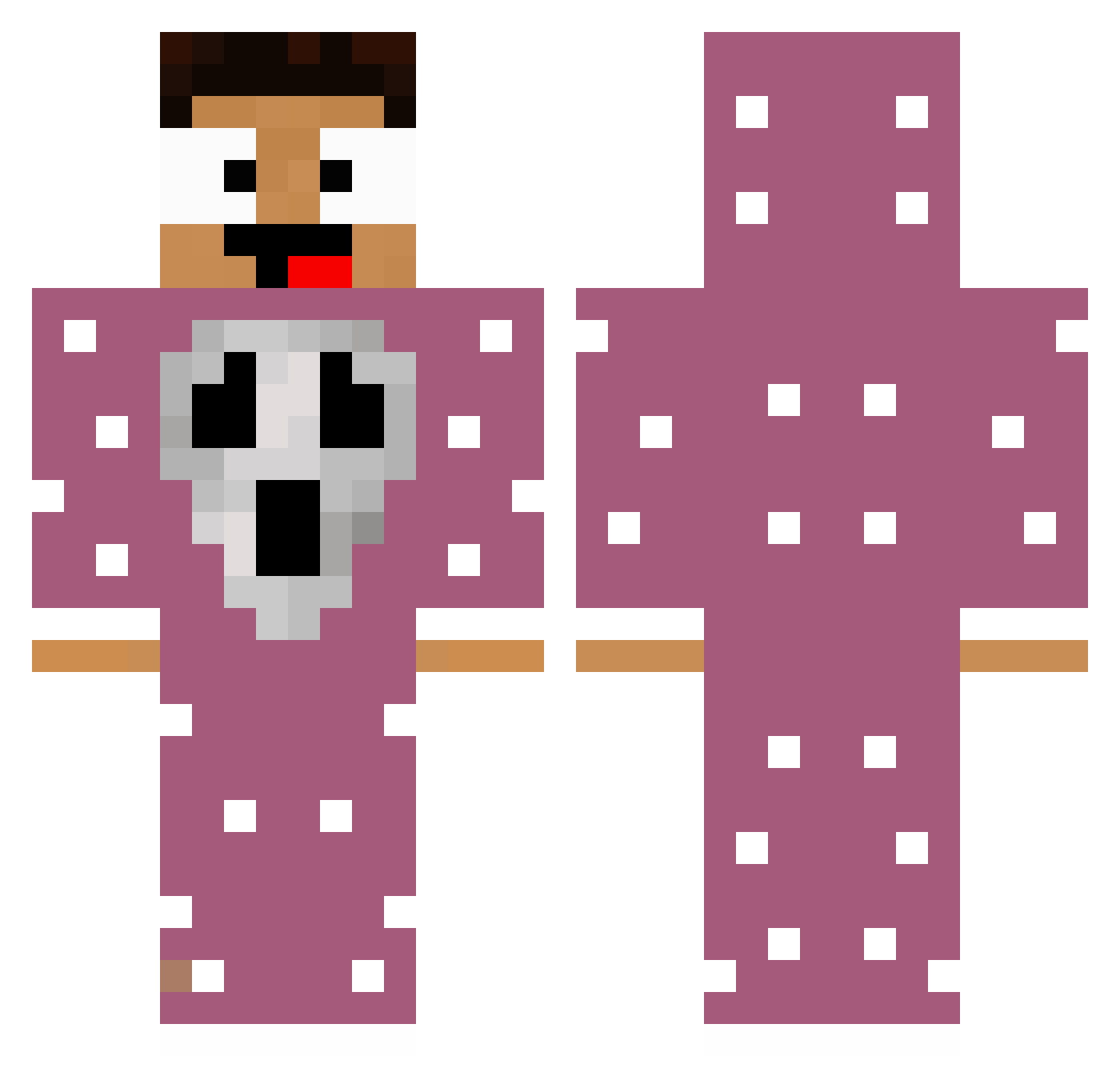 camaro_o Minecraft skin, front and back view