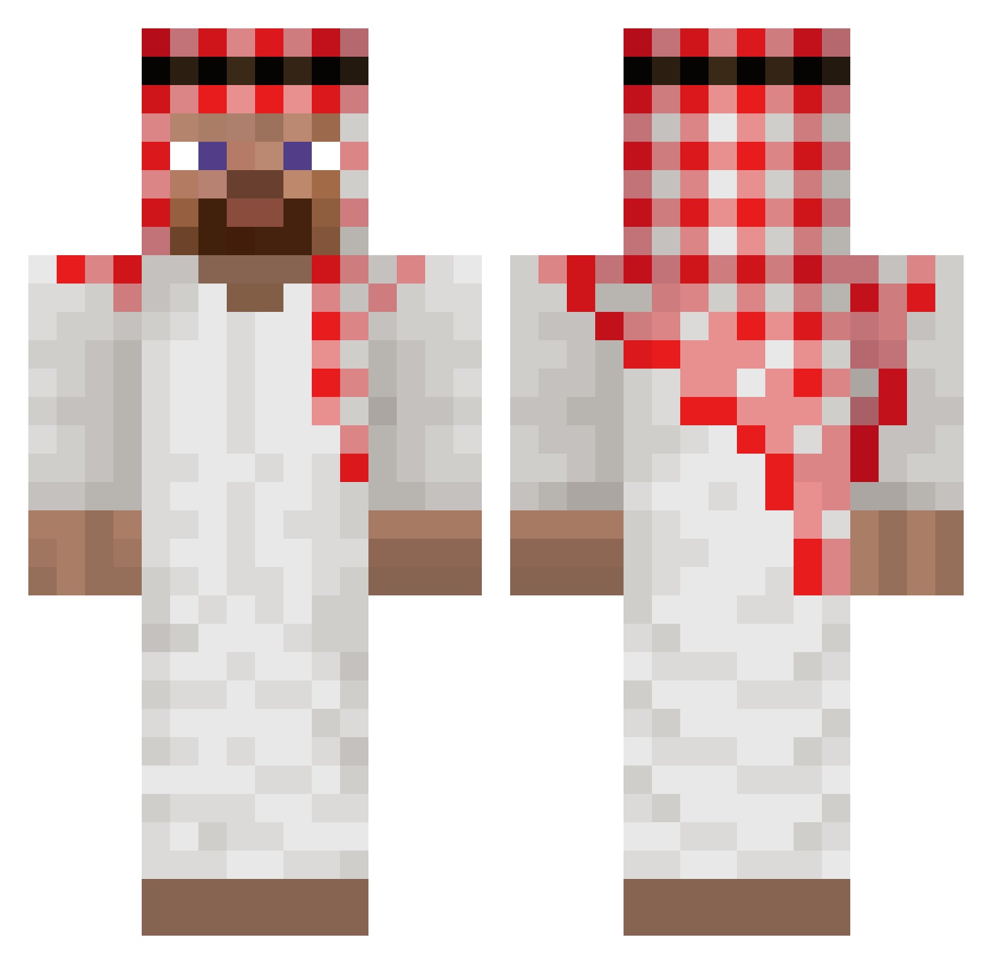 sealbruh Minecraft skin, front and back view
