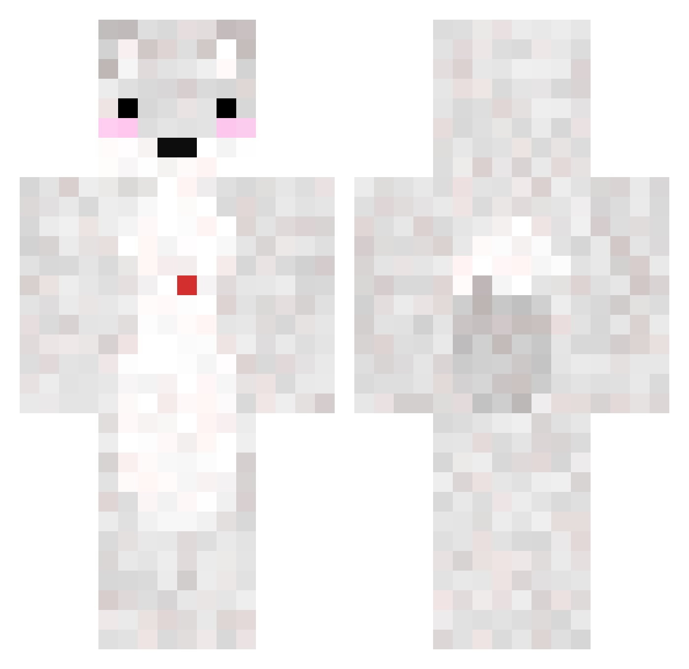 C6R Minecraft skin, front and back view