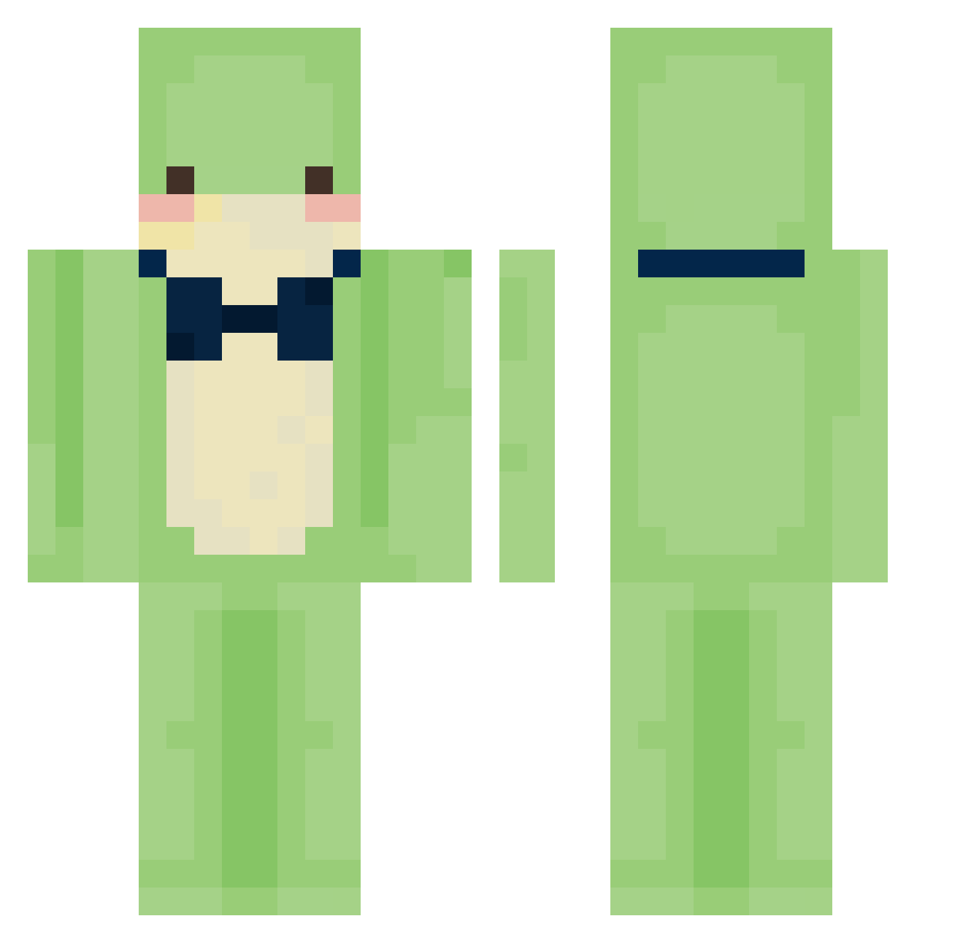 bloodskip Minecraft skin, front and back view