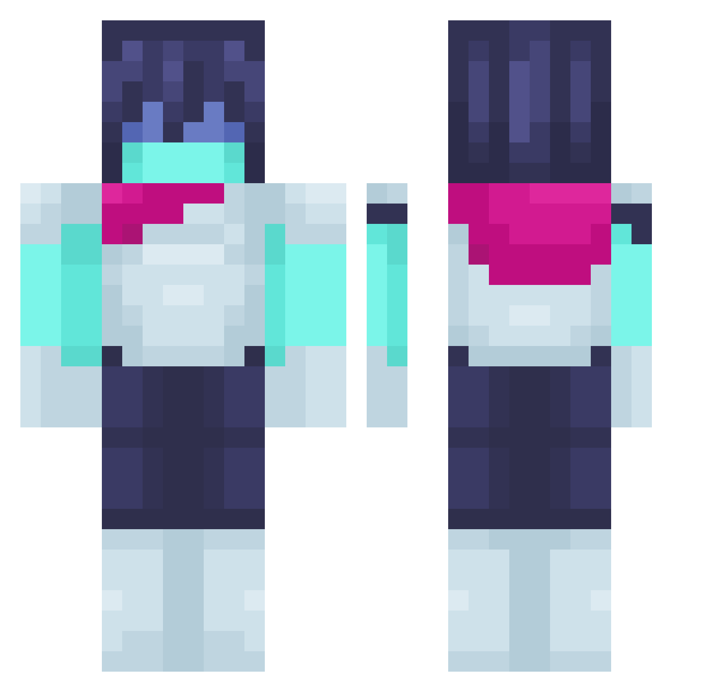 Nickelling Minecraft skin, front and back view