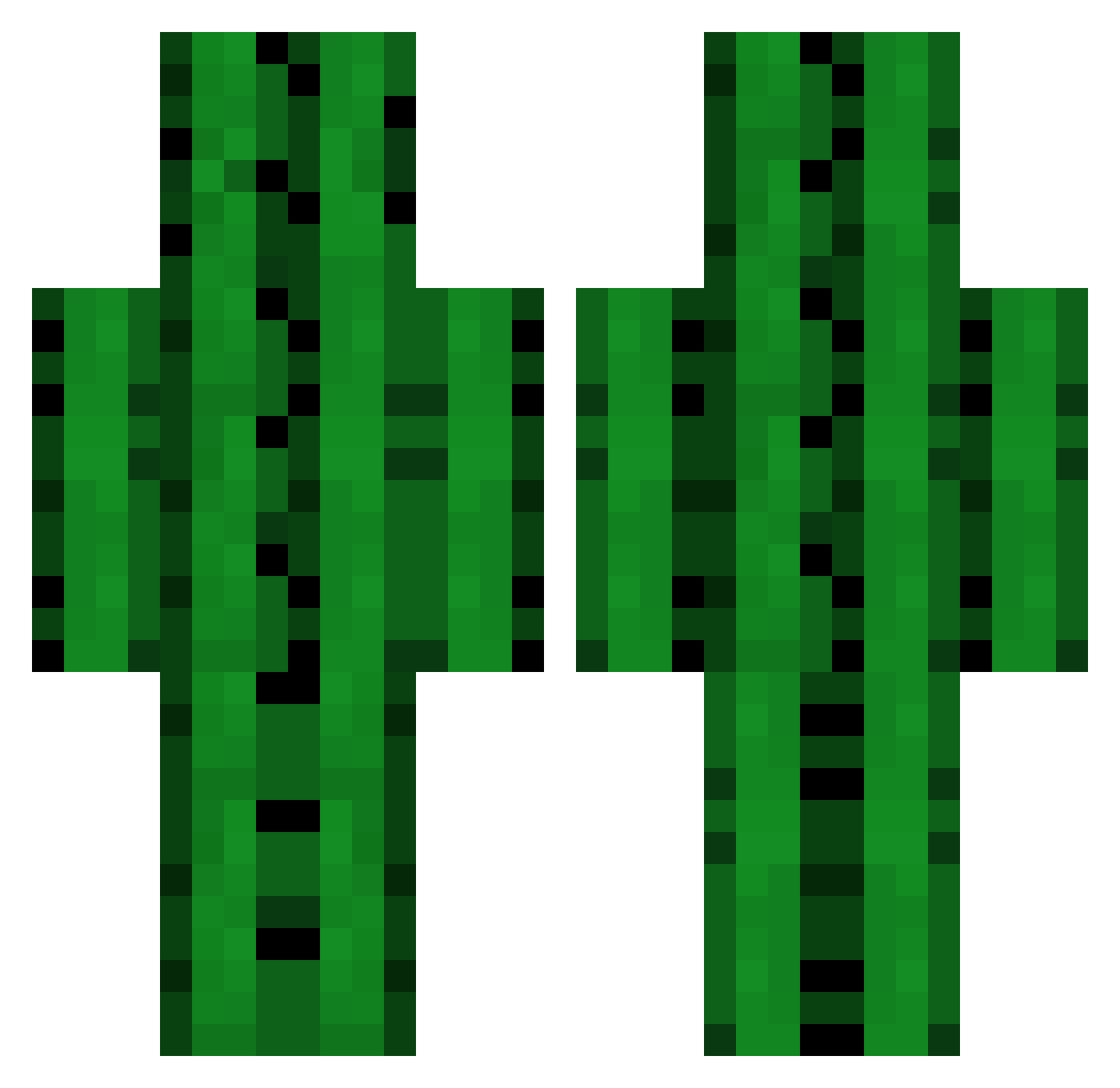 Cactus88888 Minecraft skin, front and back view
