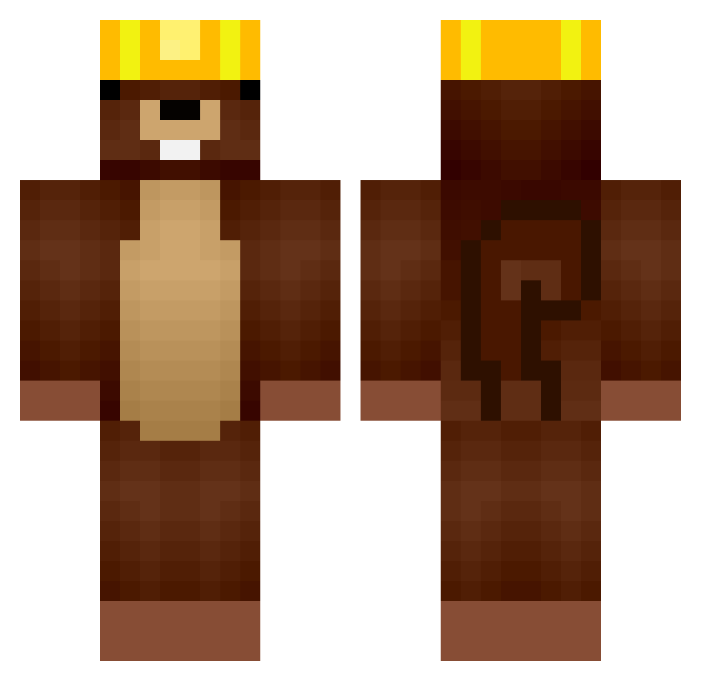 Paralywey Minecraft skin, front and back view