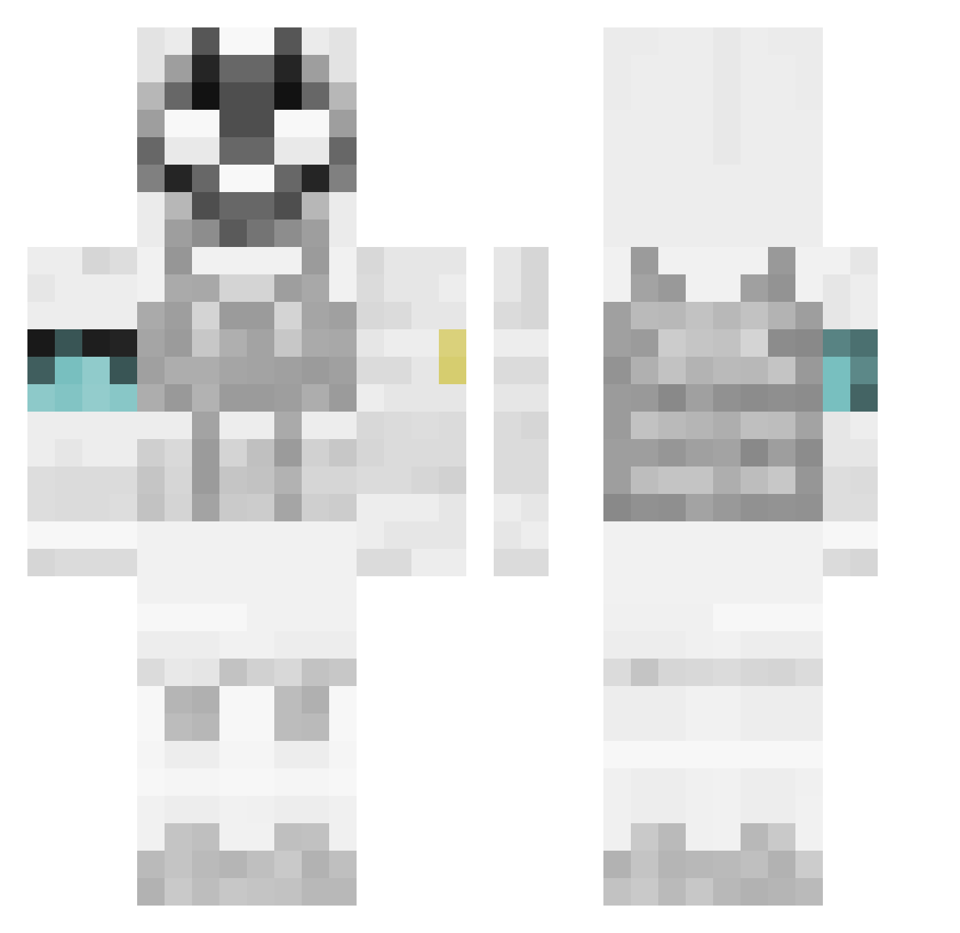 a1136891 Minecraft skin, front and back view