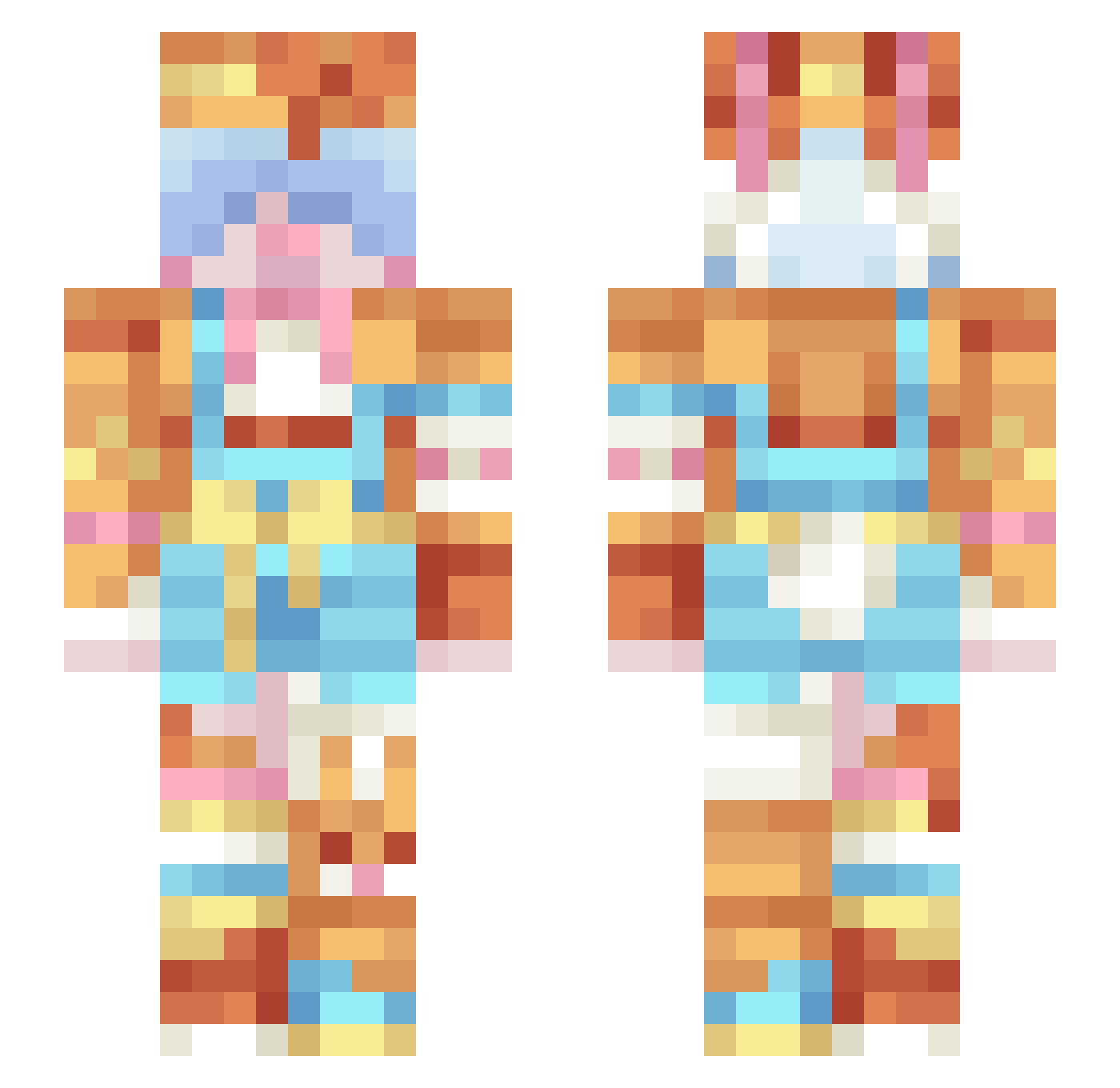 raspivel Minecraft skin, front and back view