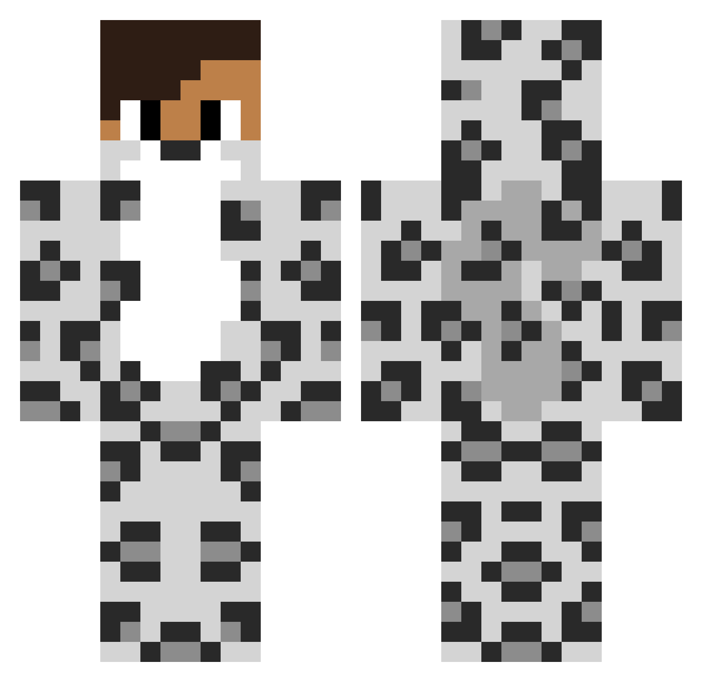 45horses Minecraft skin, front and back view