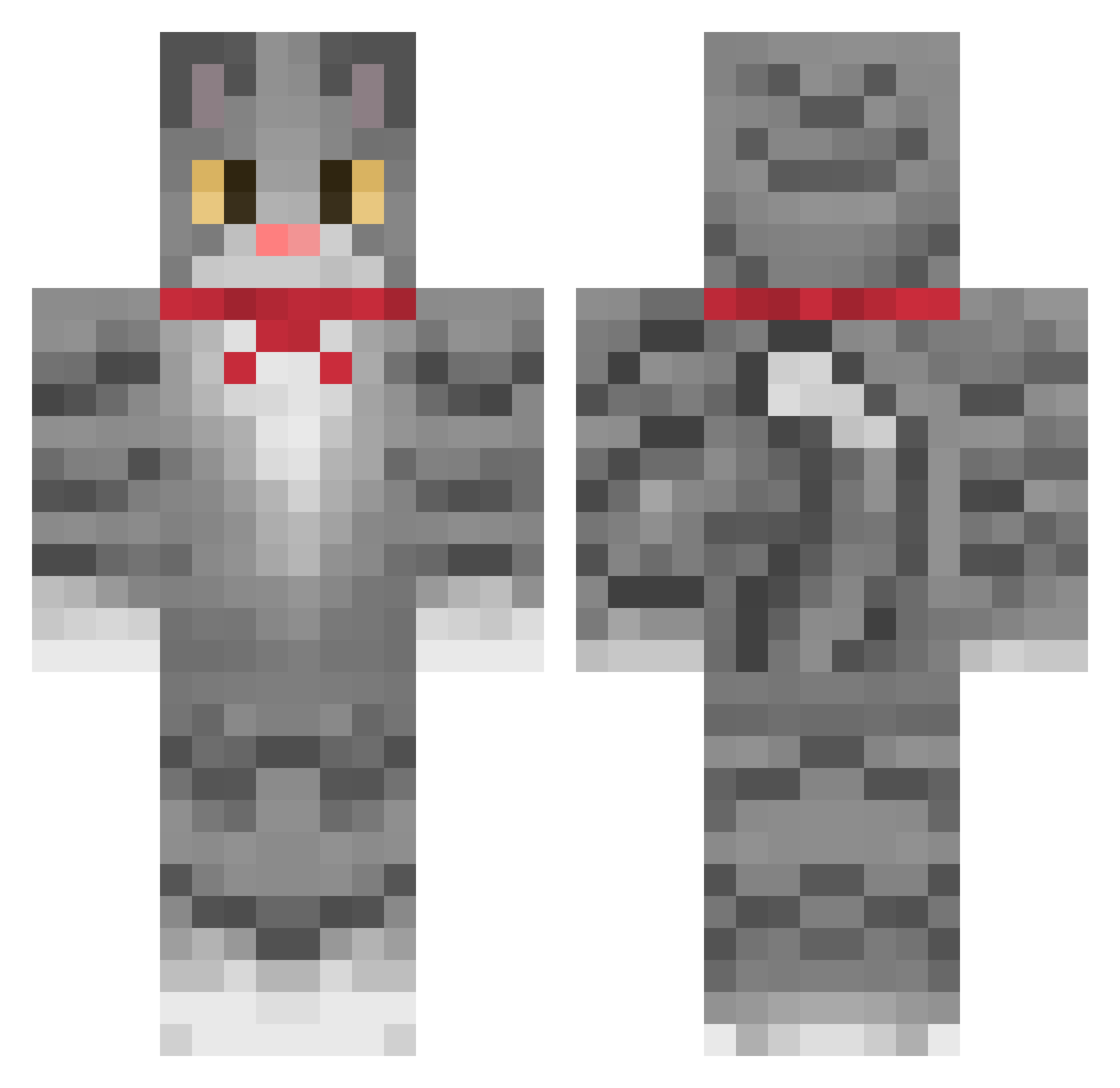 webario Minecraft skin, front and back view