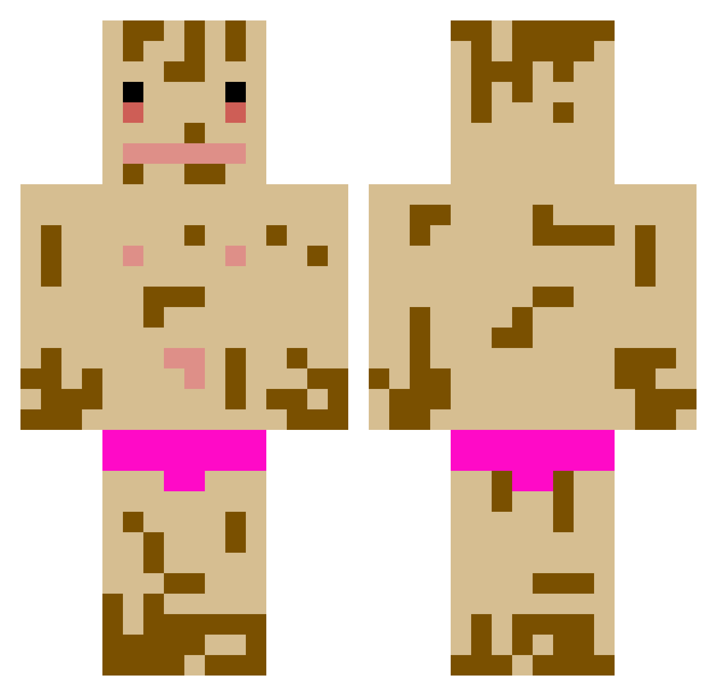 Haykoe Minecraft skin, front and back view
