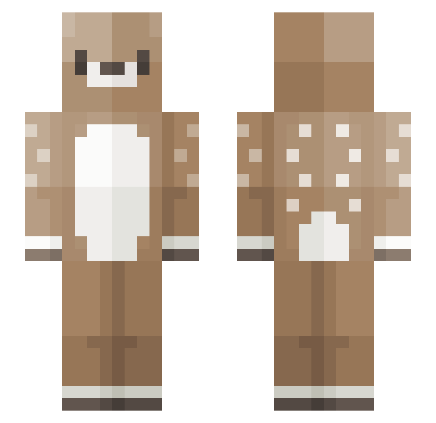 Coprolith Minecraft skin, front and back view