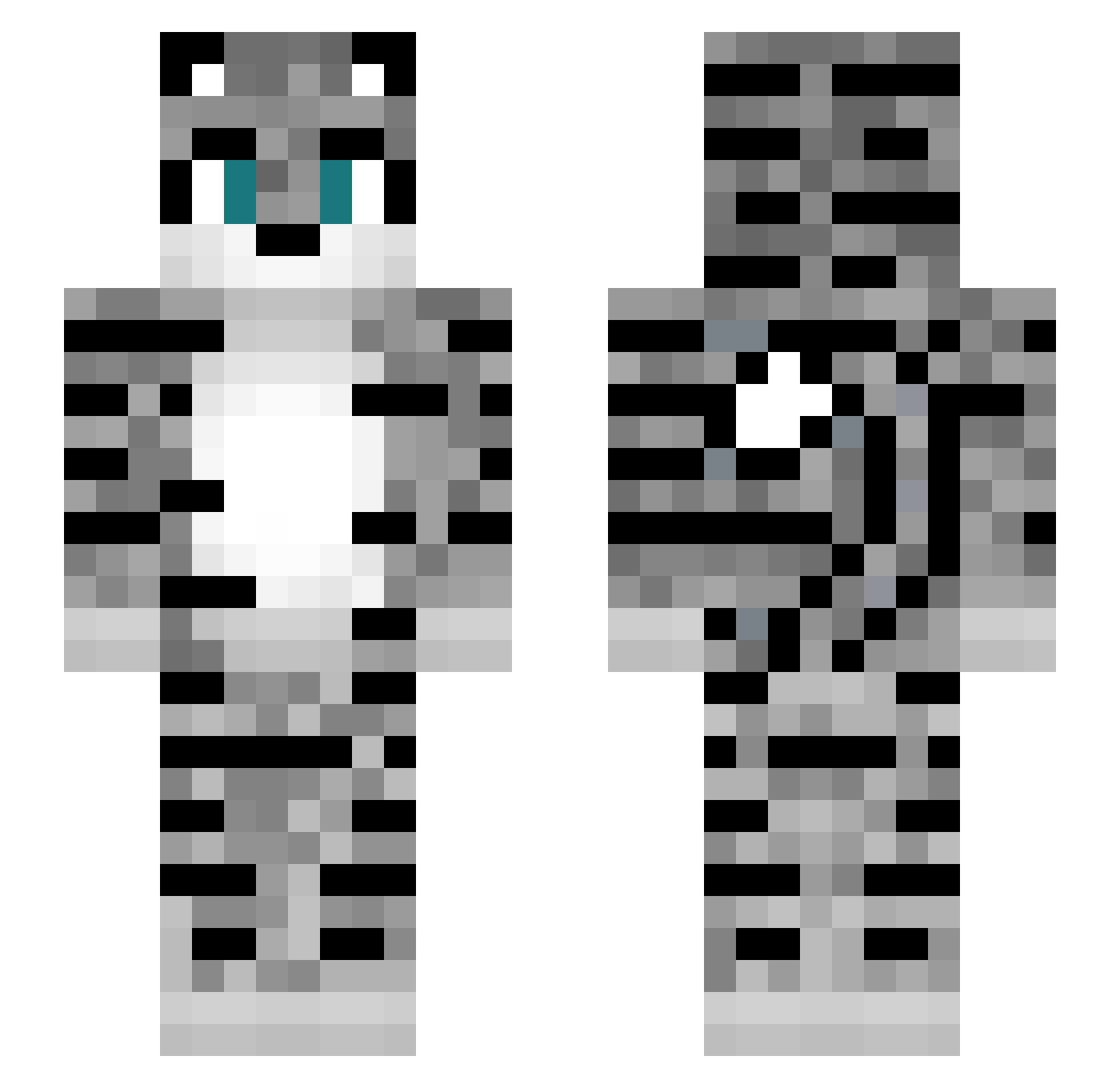 TheMotad Minecraft skin, front and back view