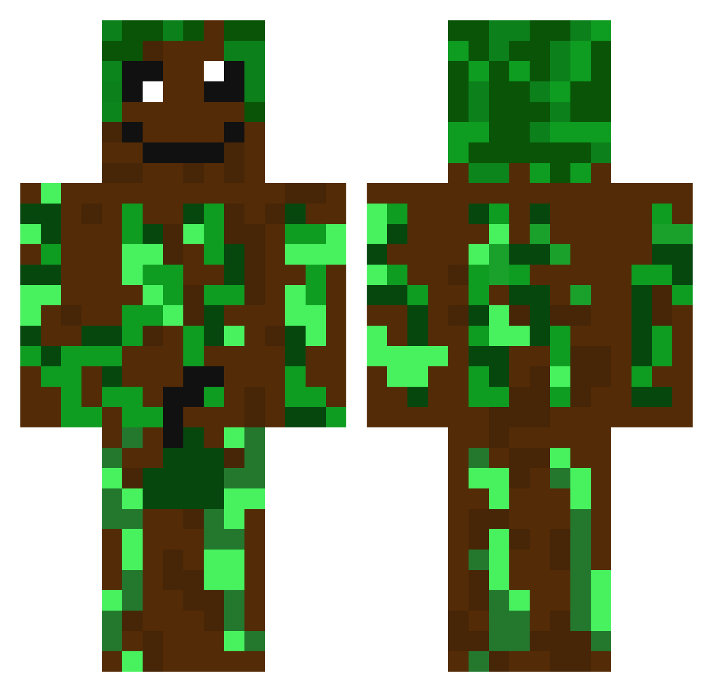 bartoszzW Minecraft skin, front and back view