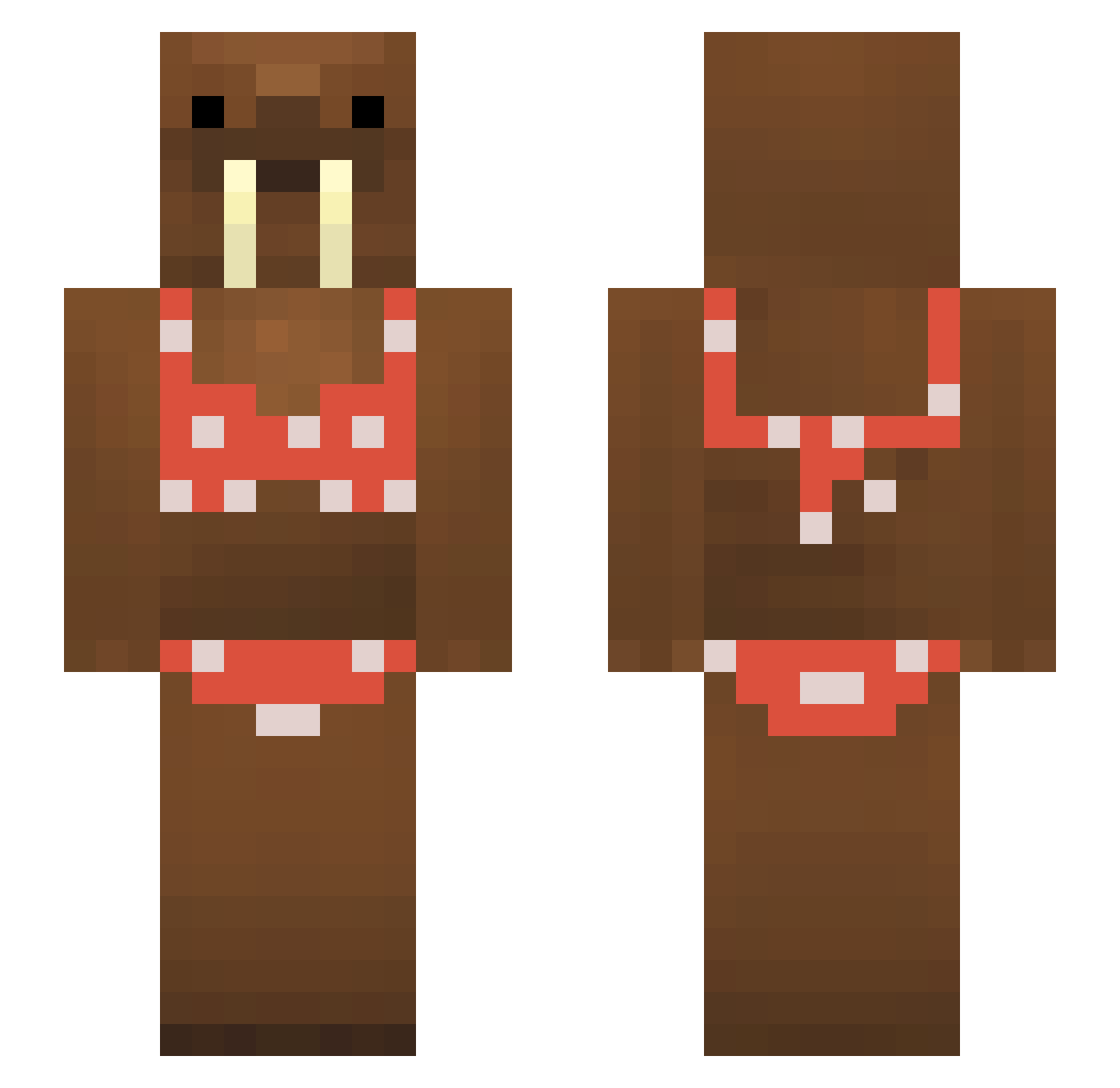AFictionalUser Minecraft skin, front and back view