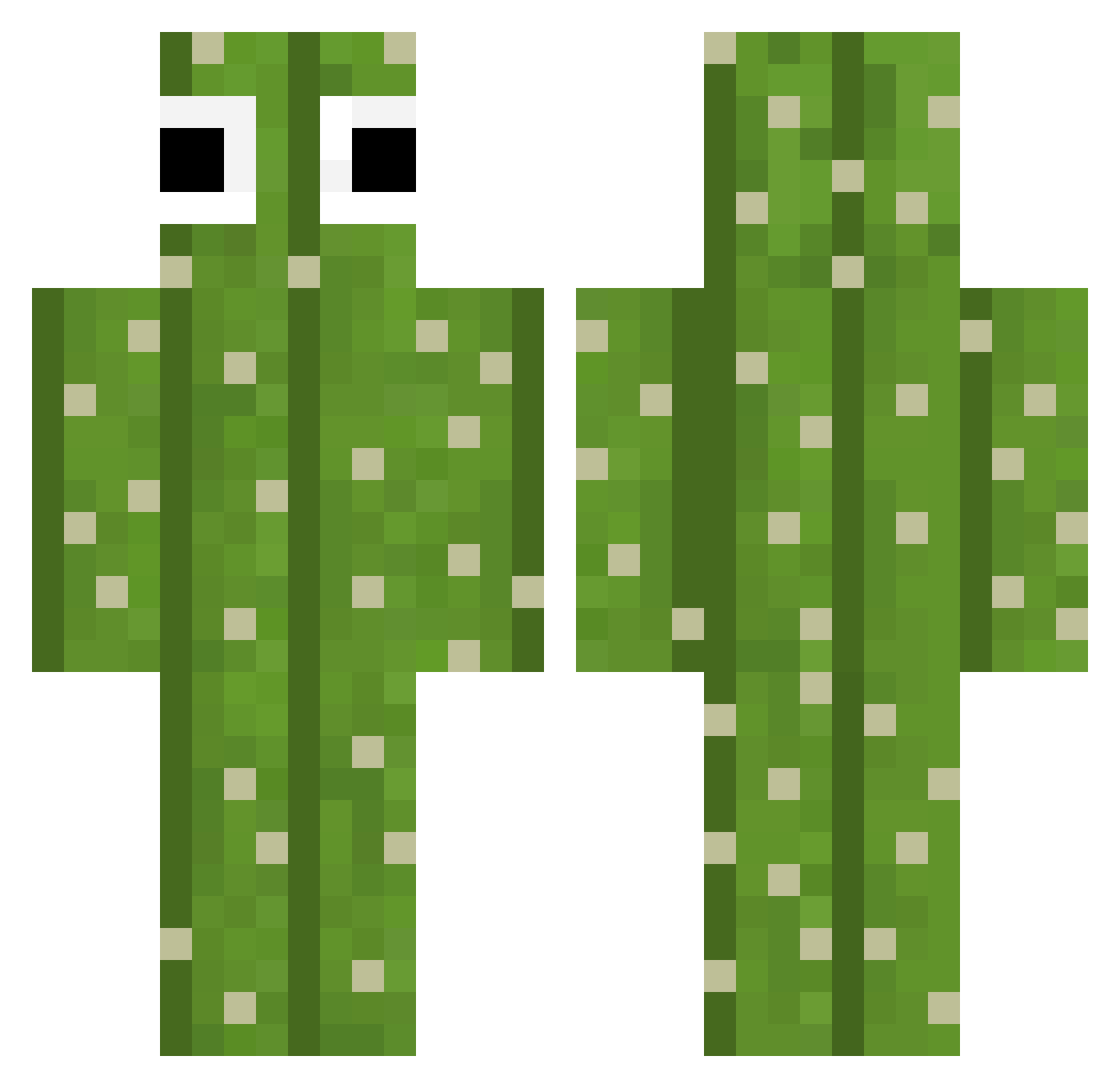 CF052 Minecraft skin, front and back view