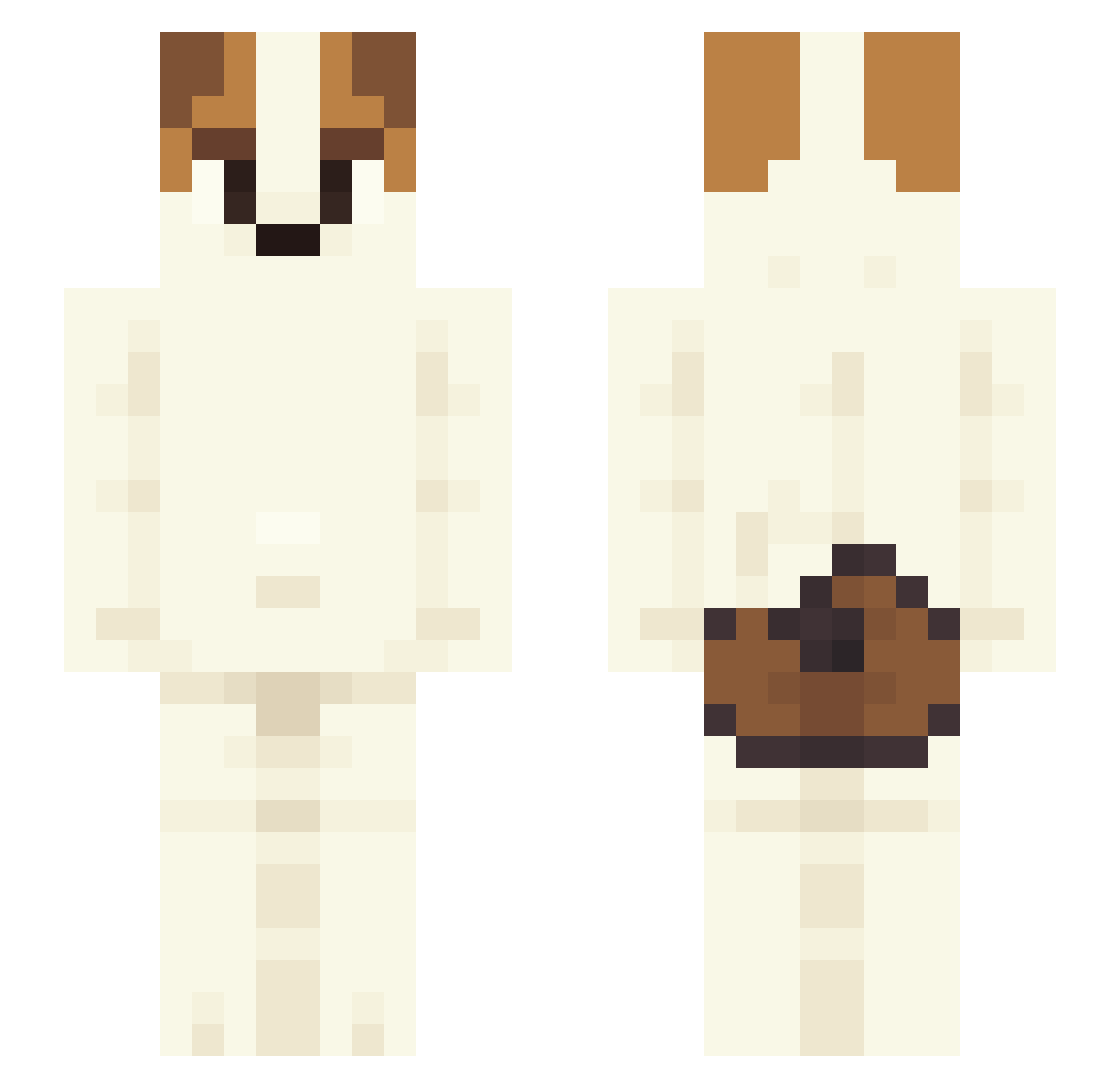 Potch Minecraft skin, front and back view