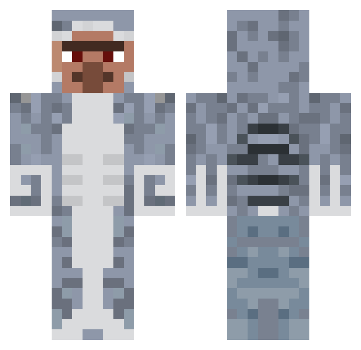 Tripe Minecraft skin, front and back view