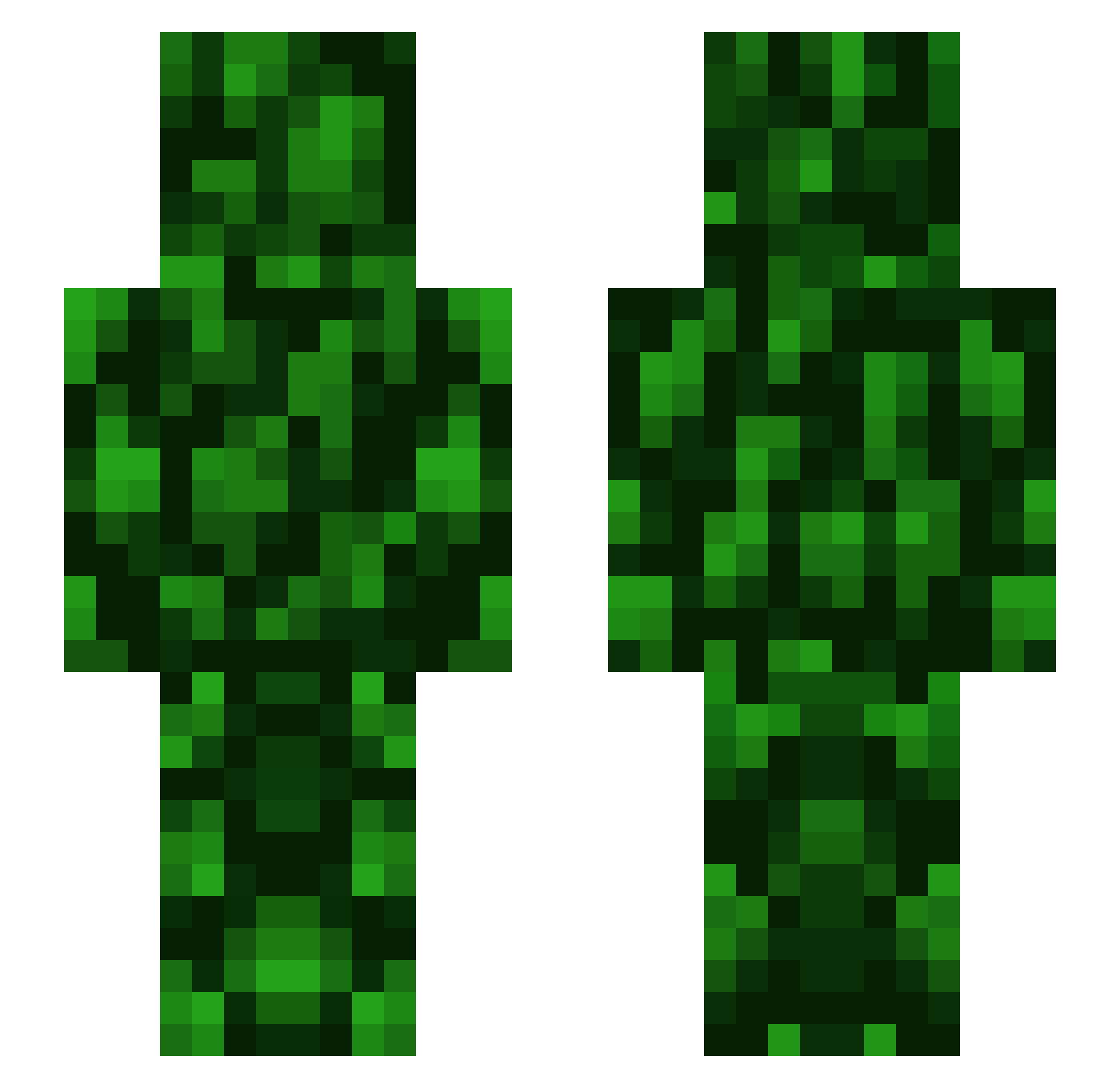 southafrica2 Minecraft skin, front and back view