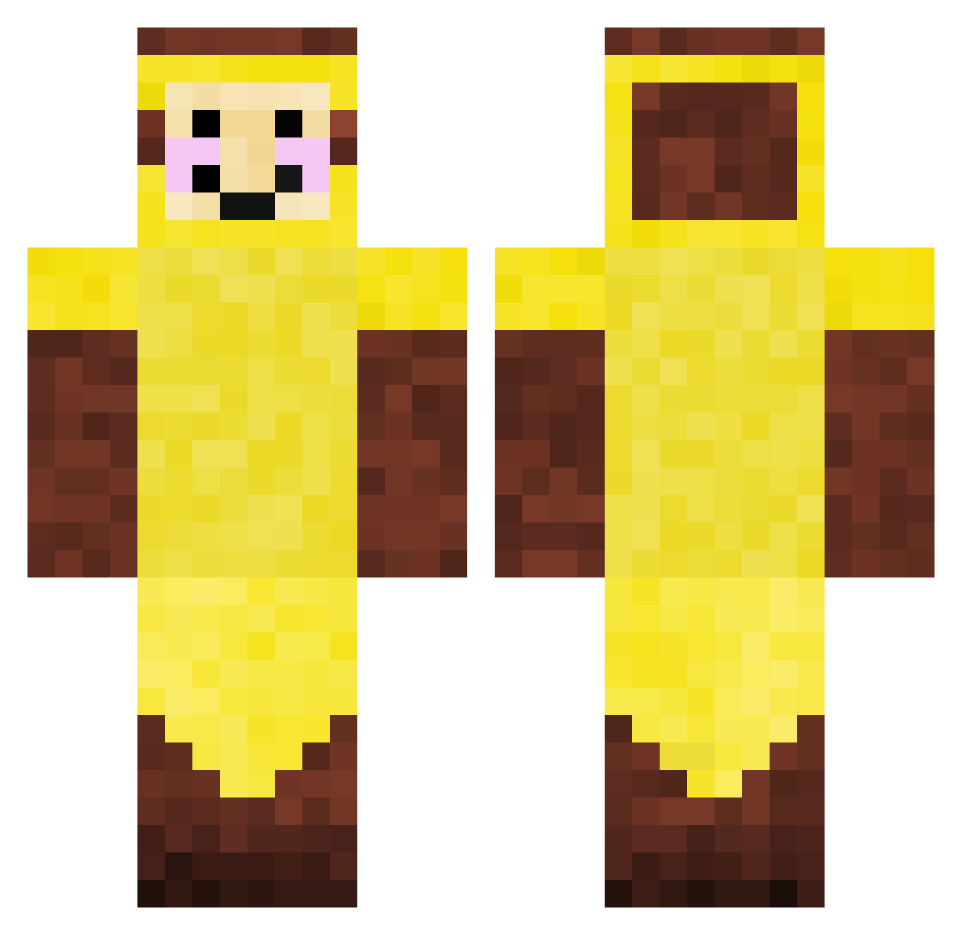 Vjlim Minecraft skin, front and back view
