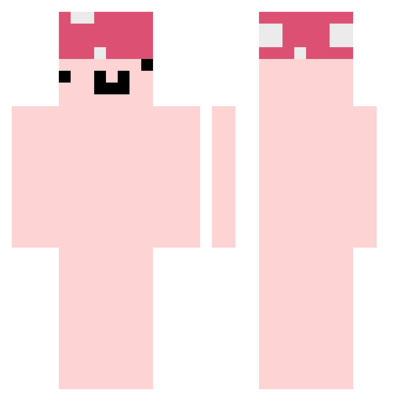 dsant317 Minecraft skin, front and back view