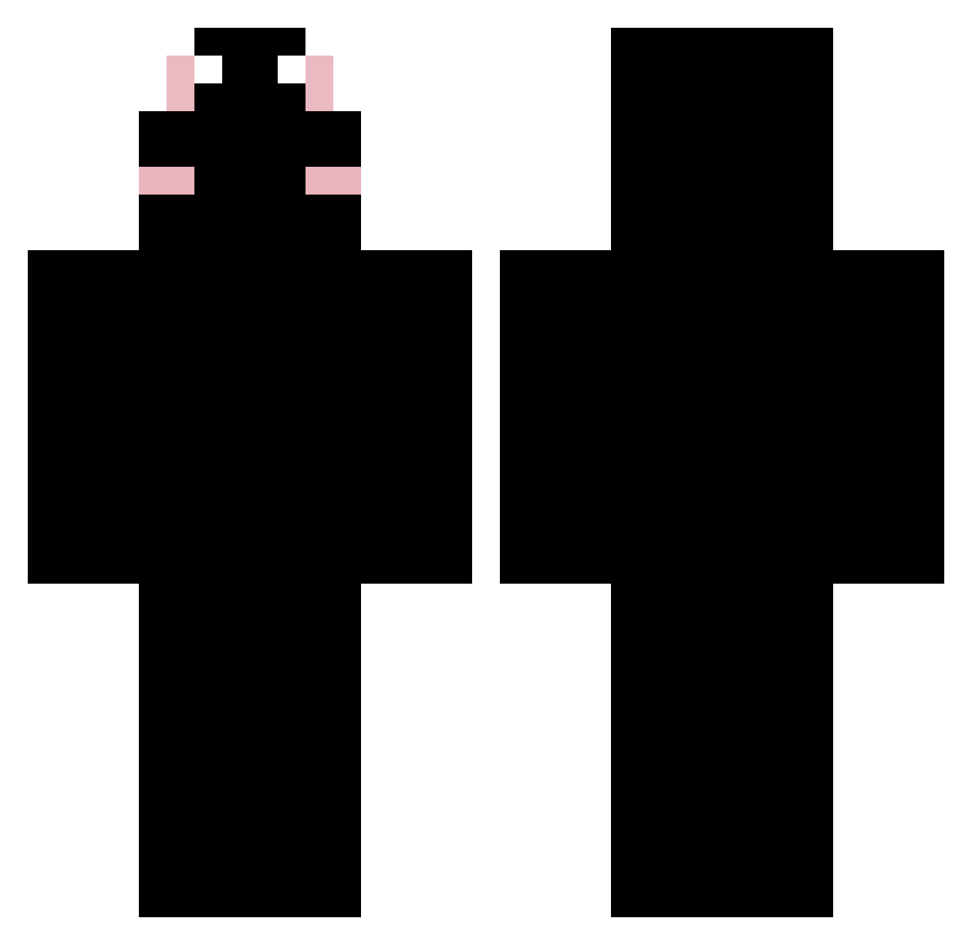 panda_596 Minecraft skin, front and back view
