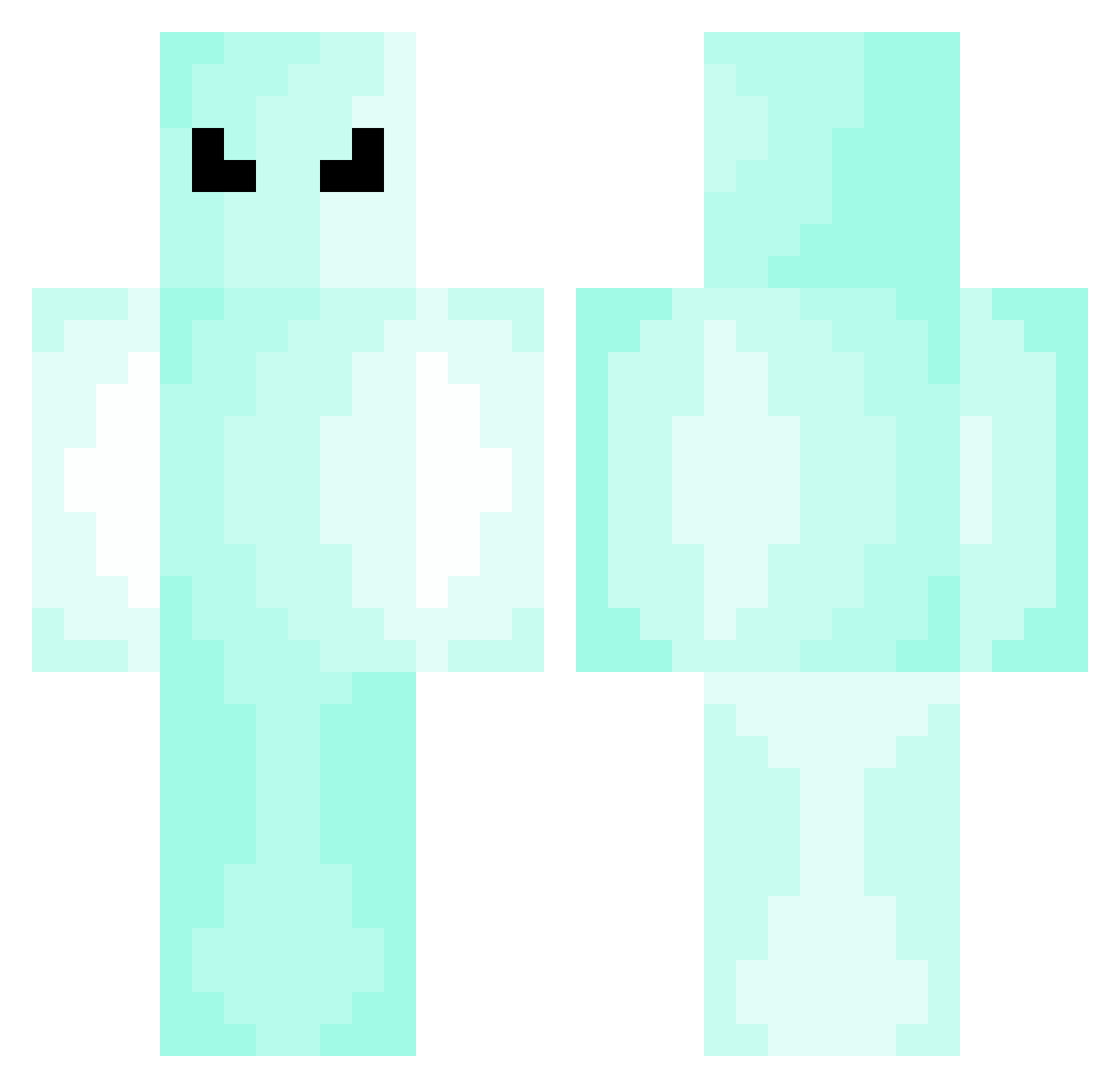 Asperate Minecraft skin, front and back view