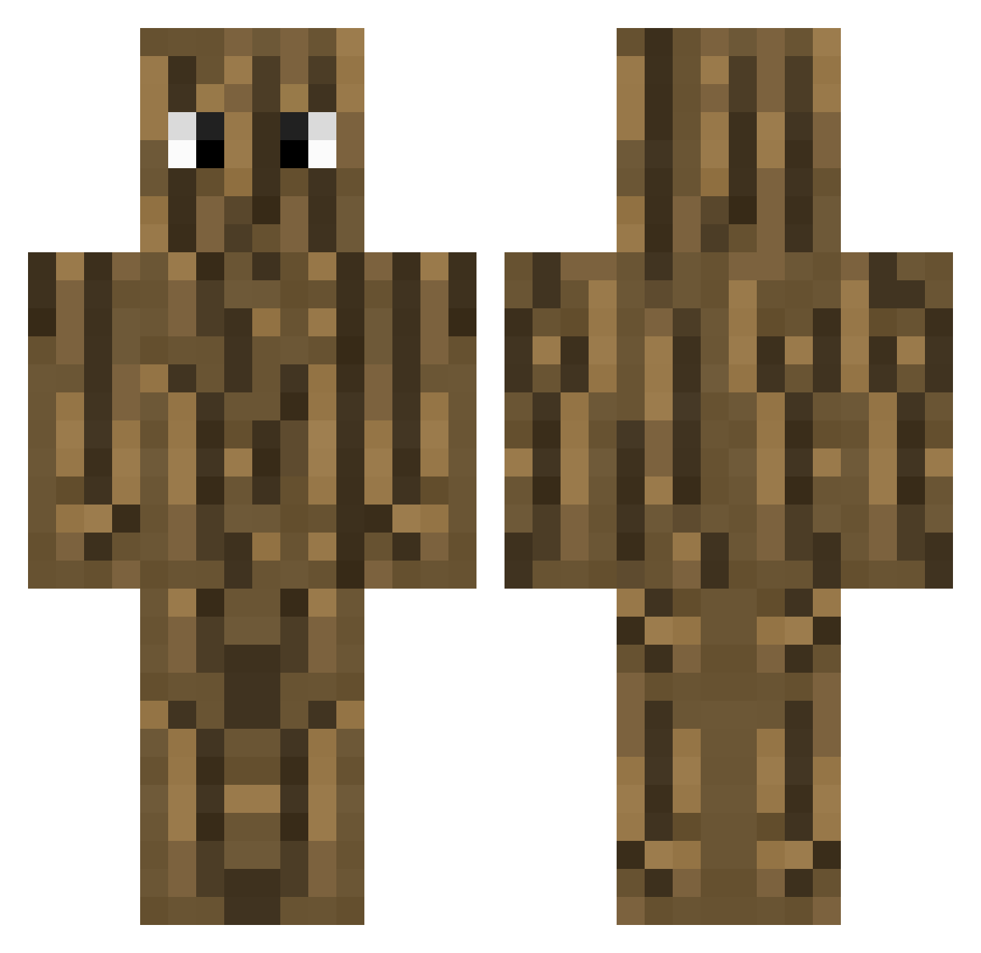 HayC1234 Minecraft skin, front and back view
