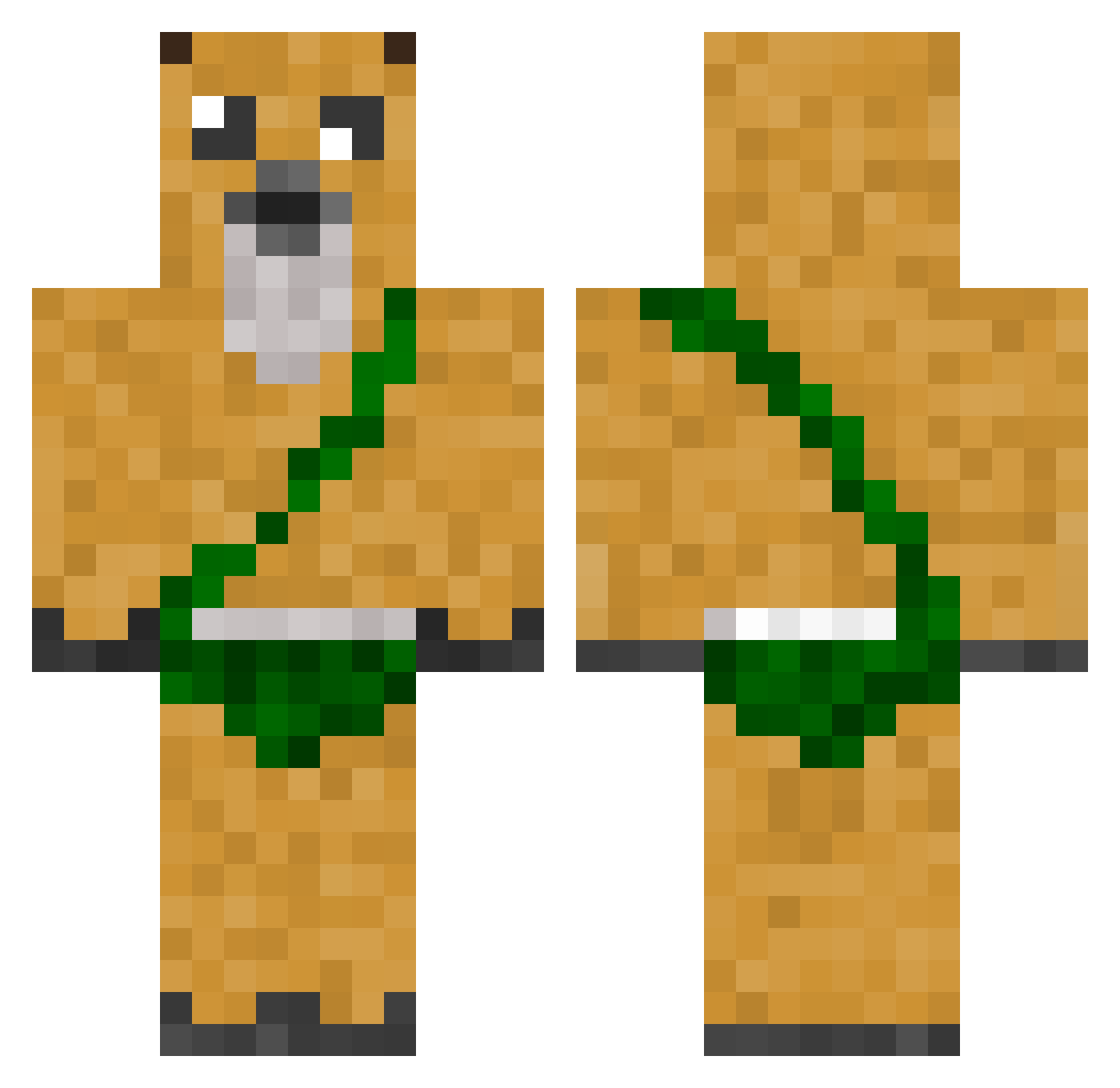 Pledig Minecraft skin, front and back view