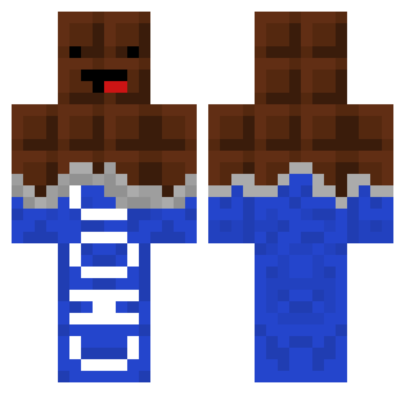 toastsushi Minecraft skin, front and back view